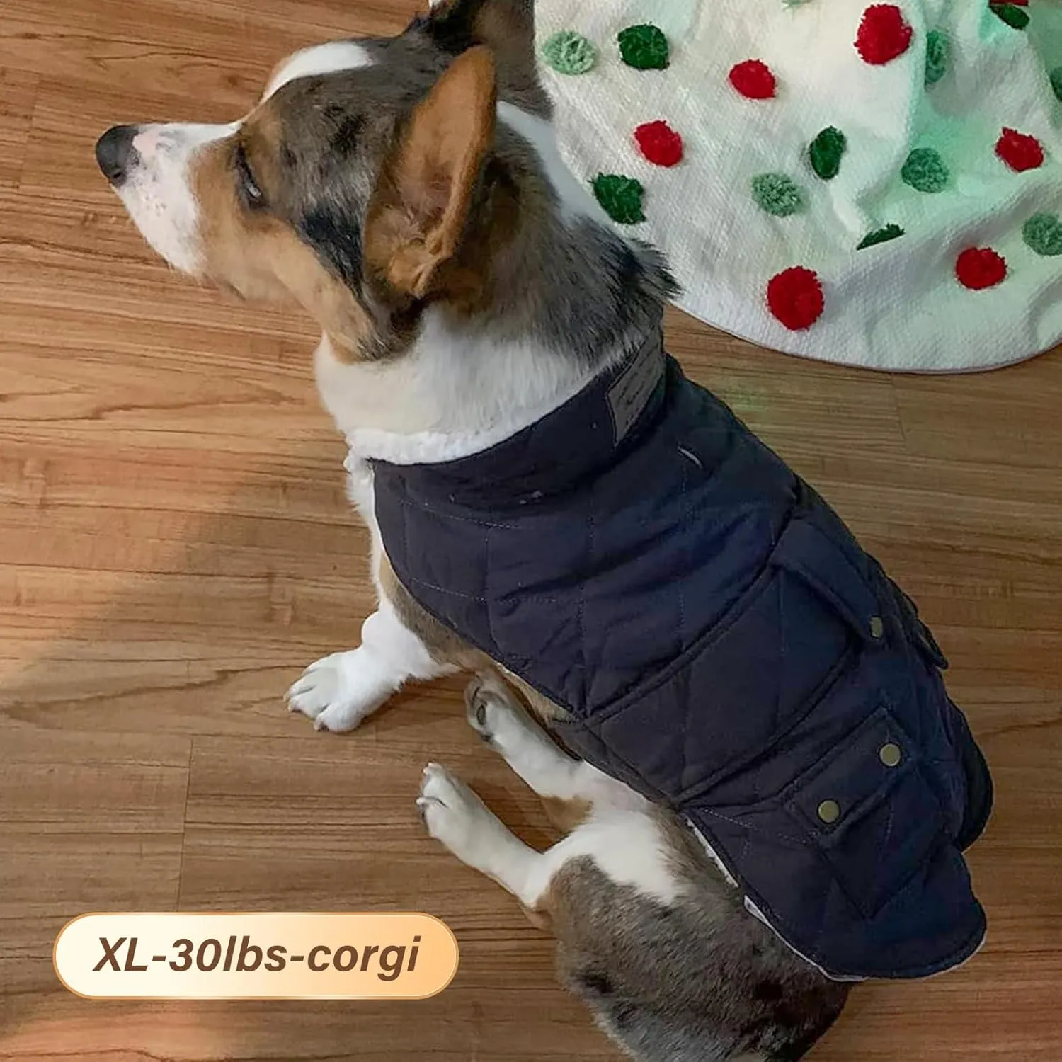 KYEESE Dog Coats Winter Dog Jacket with Leash Hole for Windproof Padded Sherpa Dogs Vest for Small Medium Dogs Cold Weather Coats