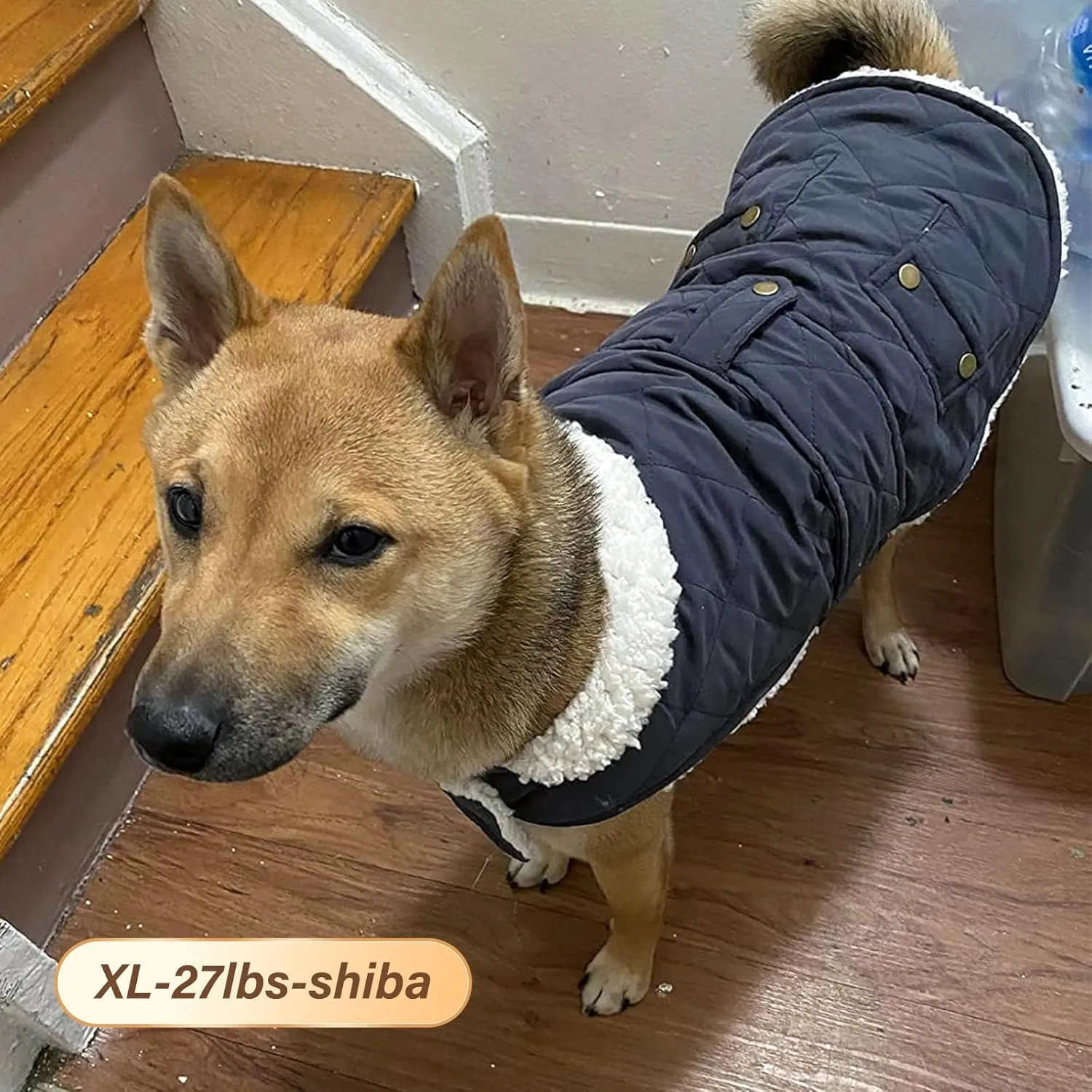 KYEESE Dog Coats Winter Dog Jacket with Leash Hole for Windproof Padded Sherpa Dogs Vest for Small Medium Dogs Cold Weather Coats