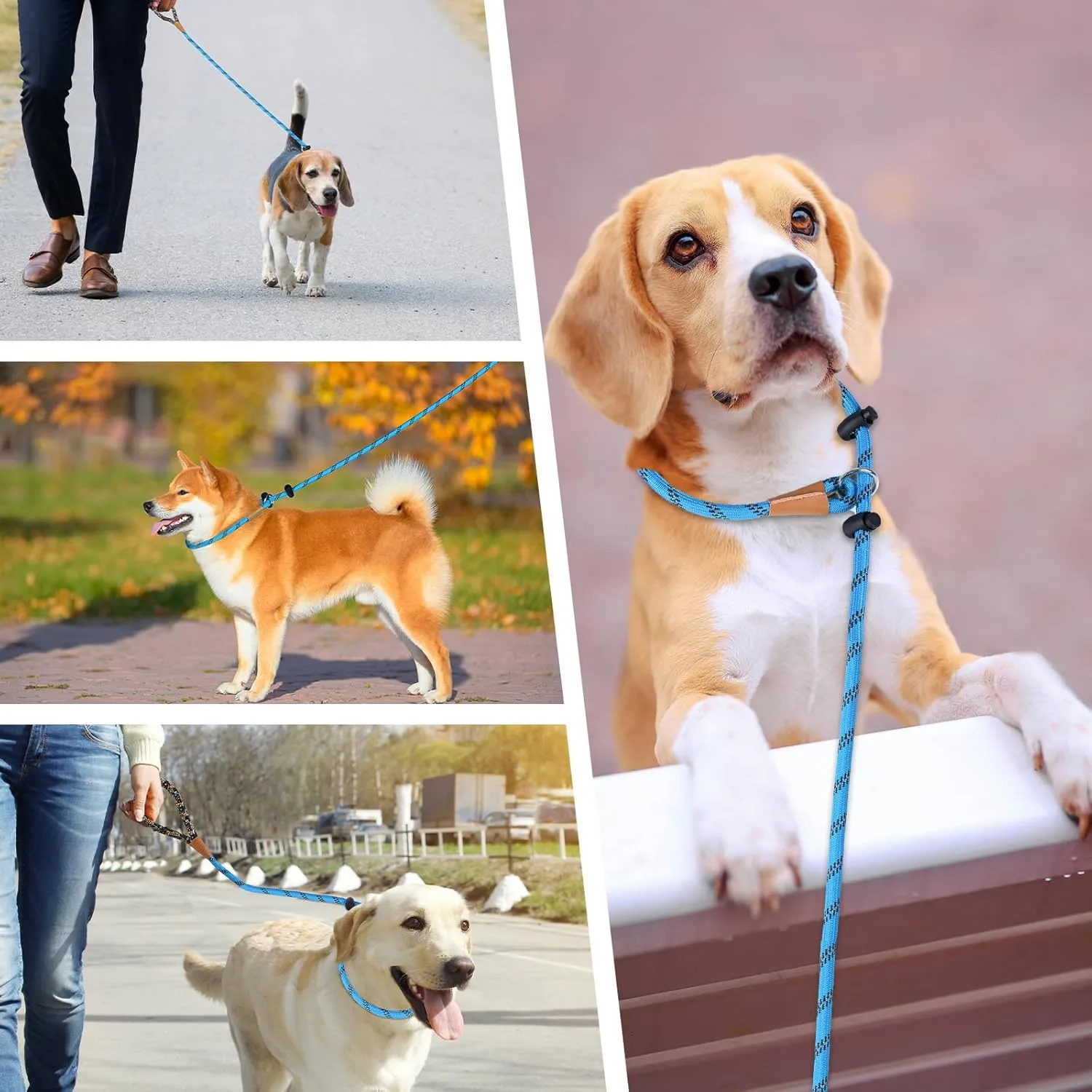 lynxking Slip Lead Dog Leash Reflective, Heavy Duty Comfortable Strong Rope Lead for Large, Medium Dogs, No Pull Pet Training (Light Blue, Large 1/2in x 6ft-Slip Lead)