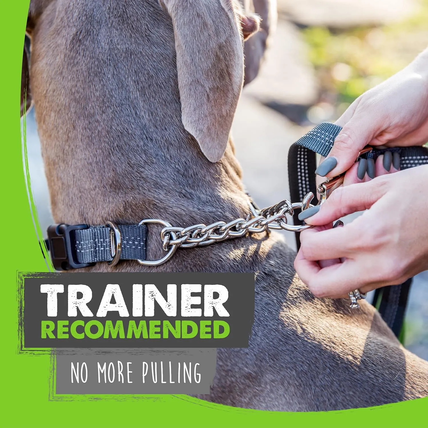 Mighty Paw Martingale Collar with Buckle | Training Dog Collar, Limited Cinch Chain Pet Gear for No Pull Dog Walking. Martingale Dog Collars for Large Dogs, Medium Breeds and Small Pets