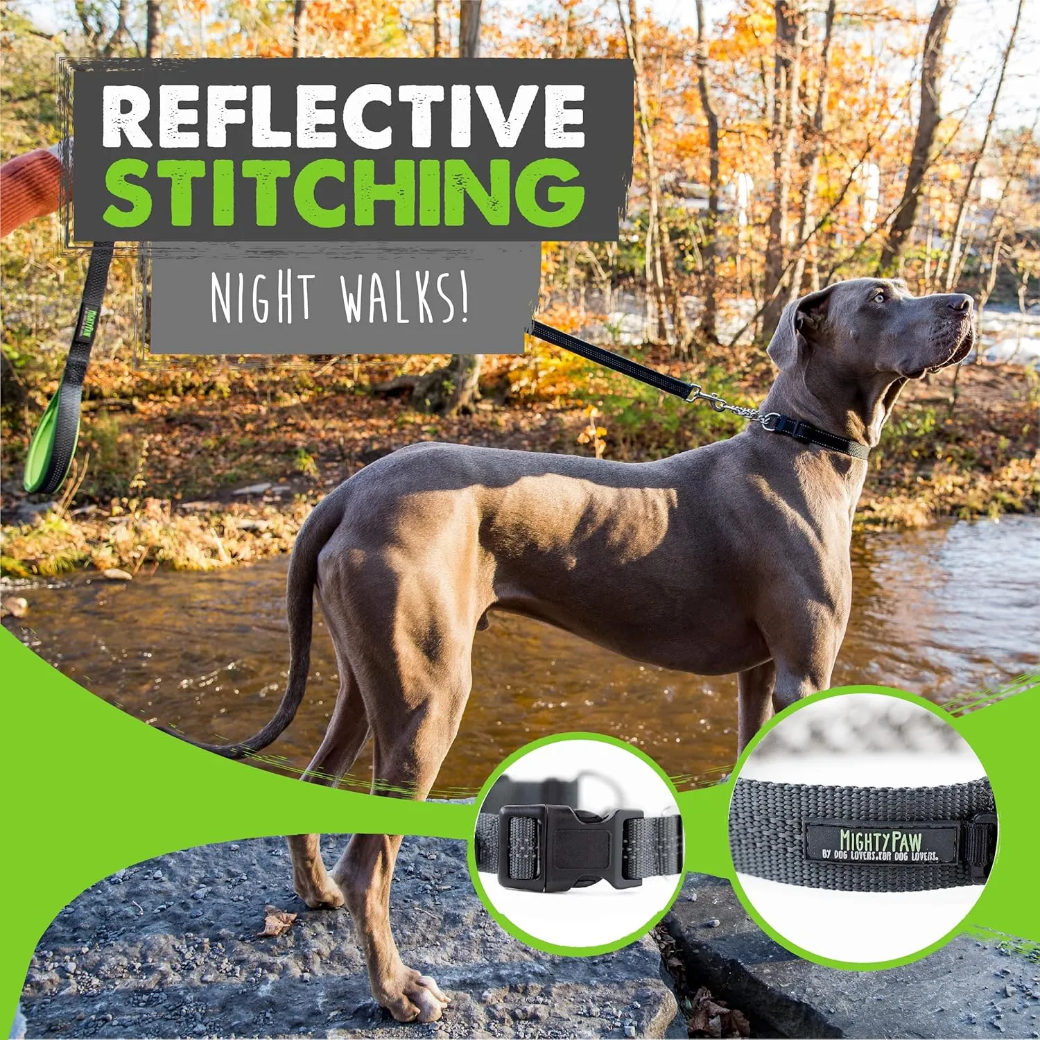 Mighty Paw Martingale Collar with Buckle | Training Dog Collar, Limited Cinch Chain Pet Gear for No Pull Dog Walking. Martingale Dog Collars for Large Dogs, Medium Breeds and Small Pets