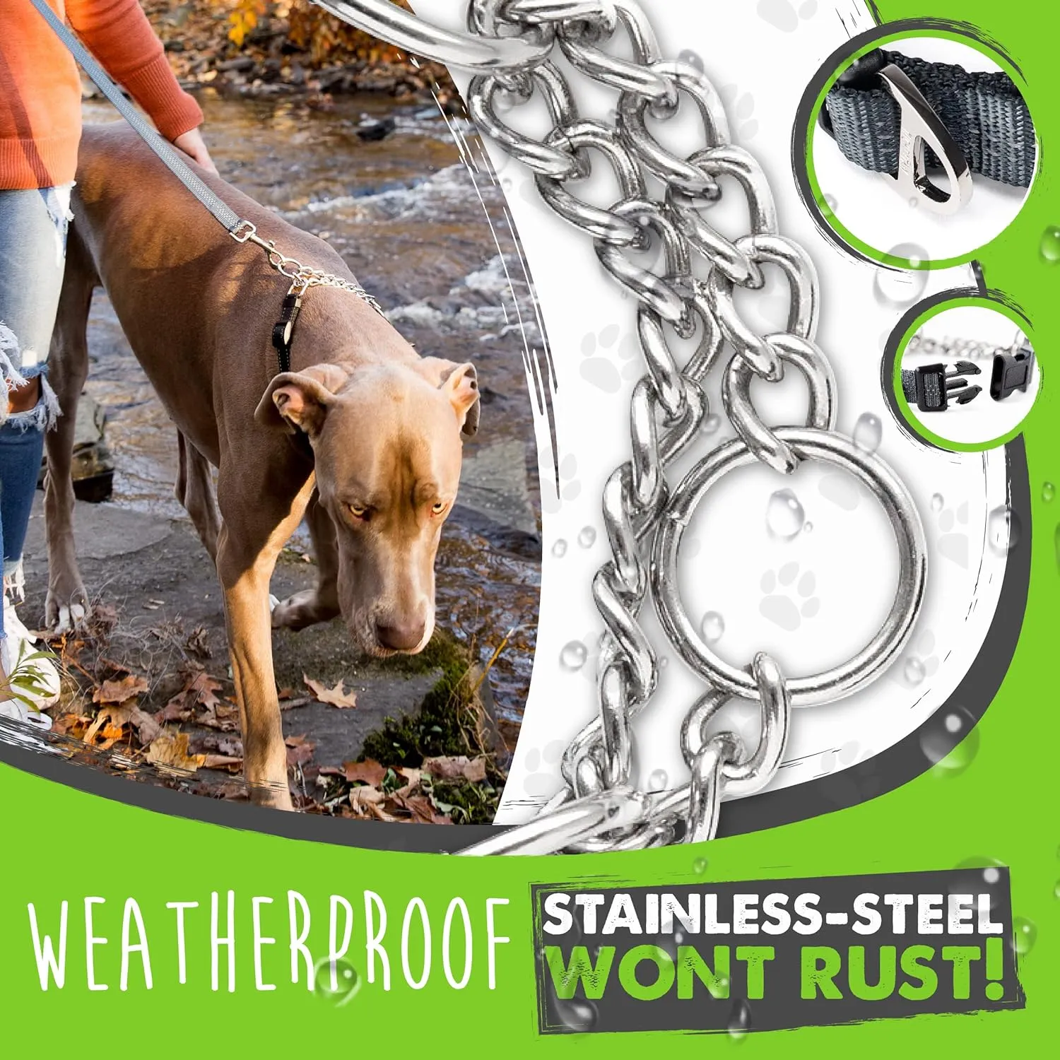 Mighty Paw Martingale Collar with Buckle | Training Dog Collar, Limited Cinch Chain Pet Gear for No Pull Dog Walking. Martingale Dog Collars for Large Dogs, Medium Breeds and Small Pets