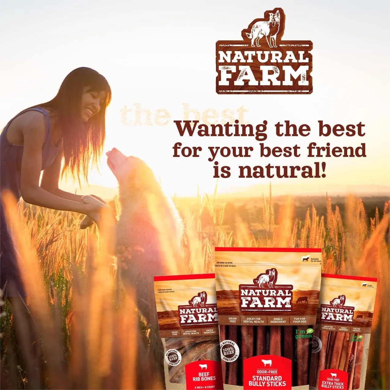 Natural Farm Odor-Free Braided Bully Sticks (6 Inch, 5 Pack) - 100% Grass-Fed Beef, Grain-Free, Low Fat & Fully Digestible Best Dental Treats - Safest Long Lasting Pizzle Chews to Keep Your Dog Busy