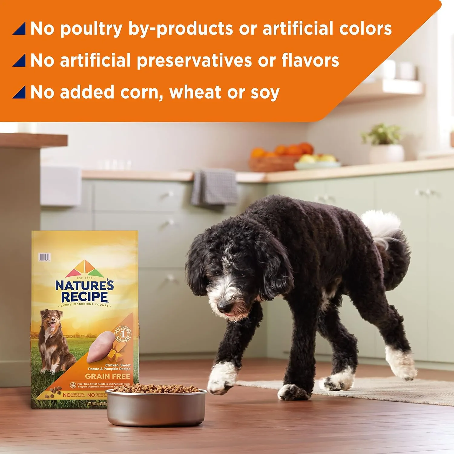 Natures Recipe Grain Free Chicken, Sweet Potato & Pumpkin Recipe Dry Dog Food, 12 lb. Bag