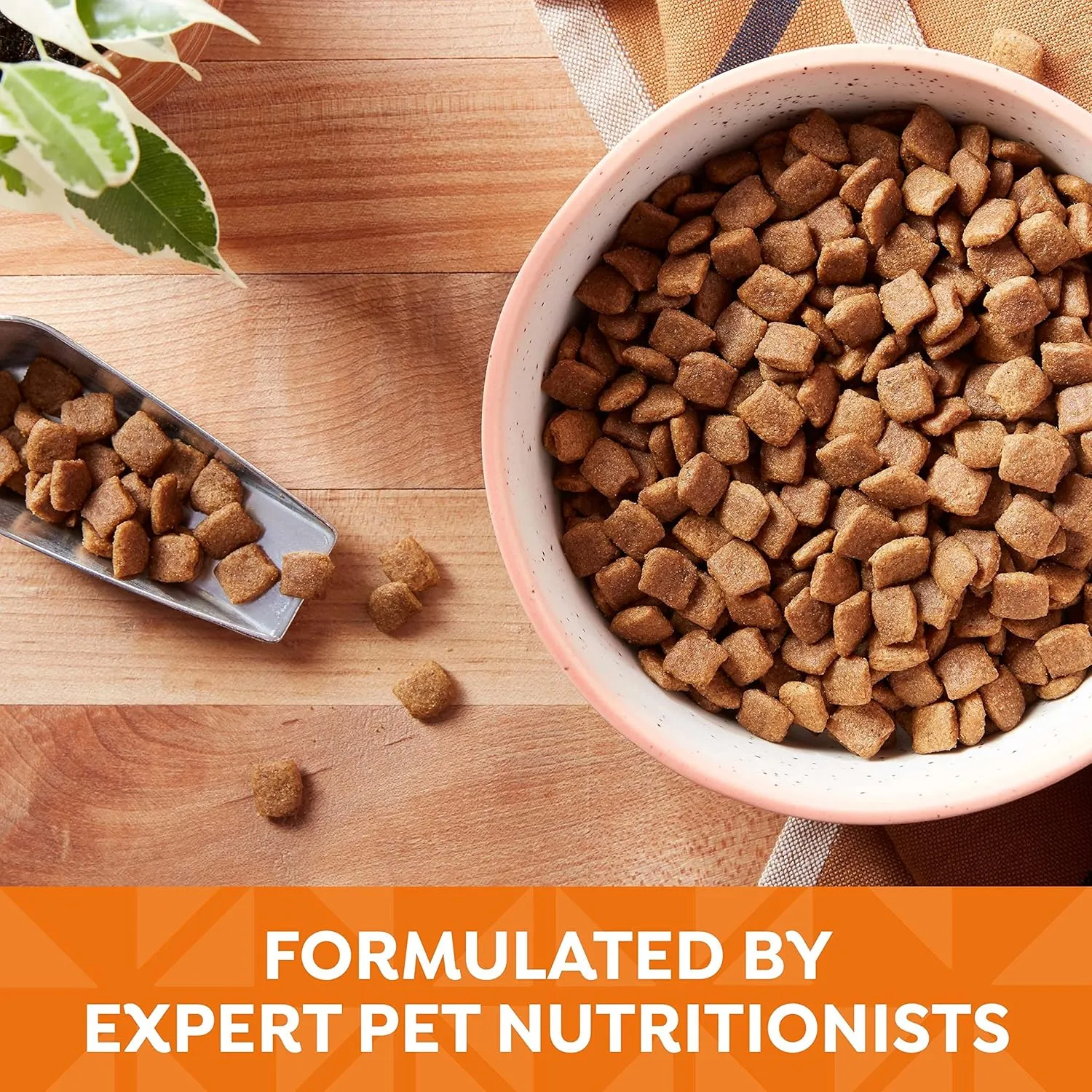 Natures Recipe Grain Free Chicken, Sweet Potato & Pumpkin Recipe Dry Dog Food, 12 lb. Bag