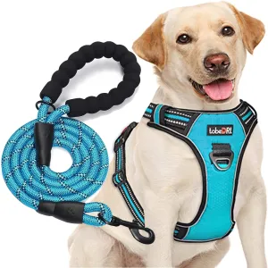 No Pull Dog Harness Adjustable Reflective Oxford Easy Control Medium Large Dog Harness with A Free Heavy Duty 5ft Dog Leash (L (Neck: 18"-25.5", Chest: 24.5"-33"), Blue Harness Leash)