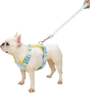 No Pull Dog Harness and Leash Set for Small Puppy with Safety Buckles, Dog Harness for 5-12lbs Pets Outdor