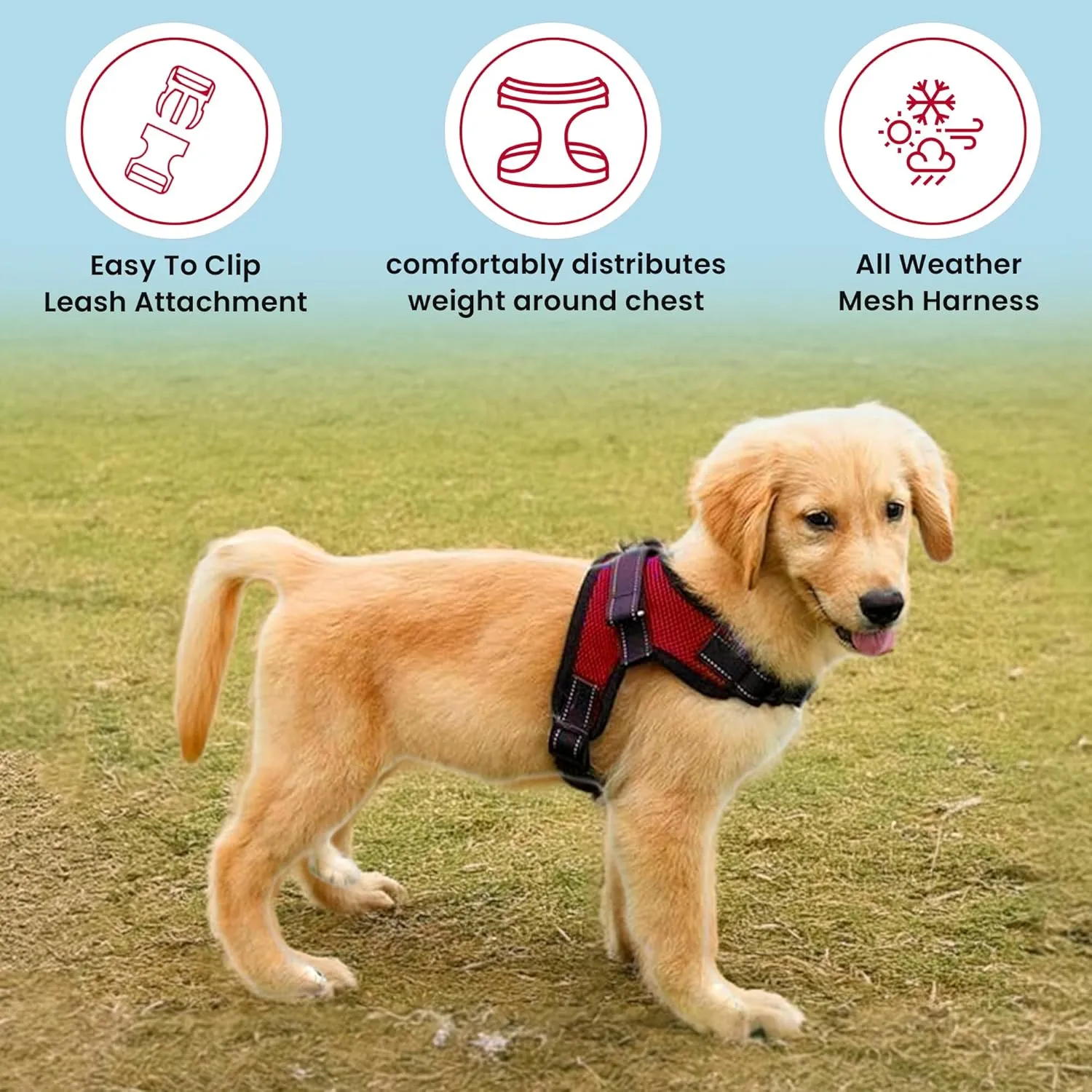 No Pull Reflective Adjustable Dog Harness with Handle- Comfortable Soft All Weather Mesh, Easy On Puppy Harness for Small Medium and Large Dogs (Red) Small