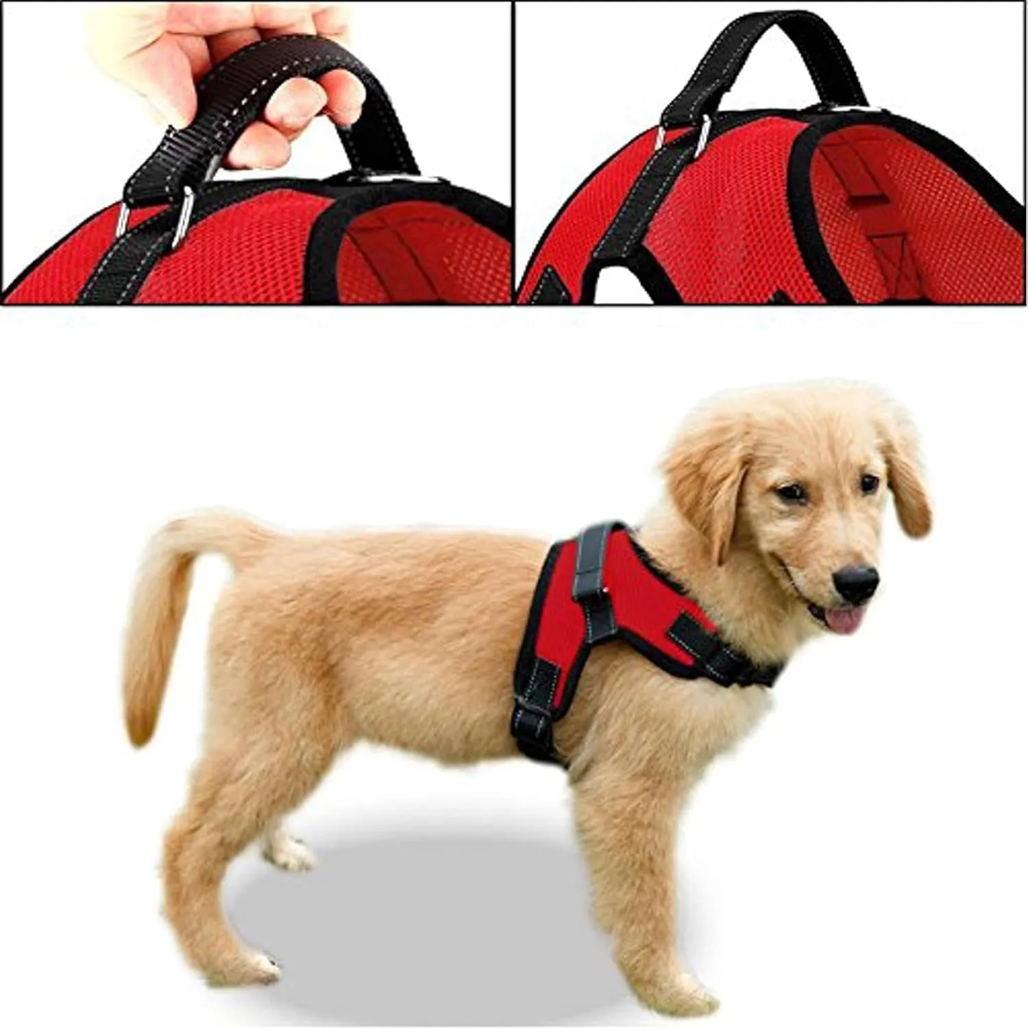 No Pull Reflective Adjustable Dog Harness with Handle- Comfortable Soft All Weather Mesh, Easy On Puppy Harness for Small Medium and Large Dogs (Red) Small