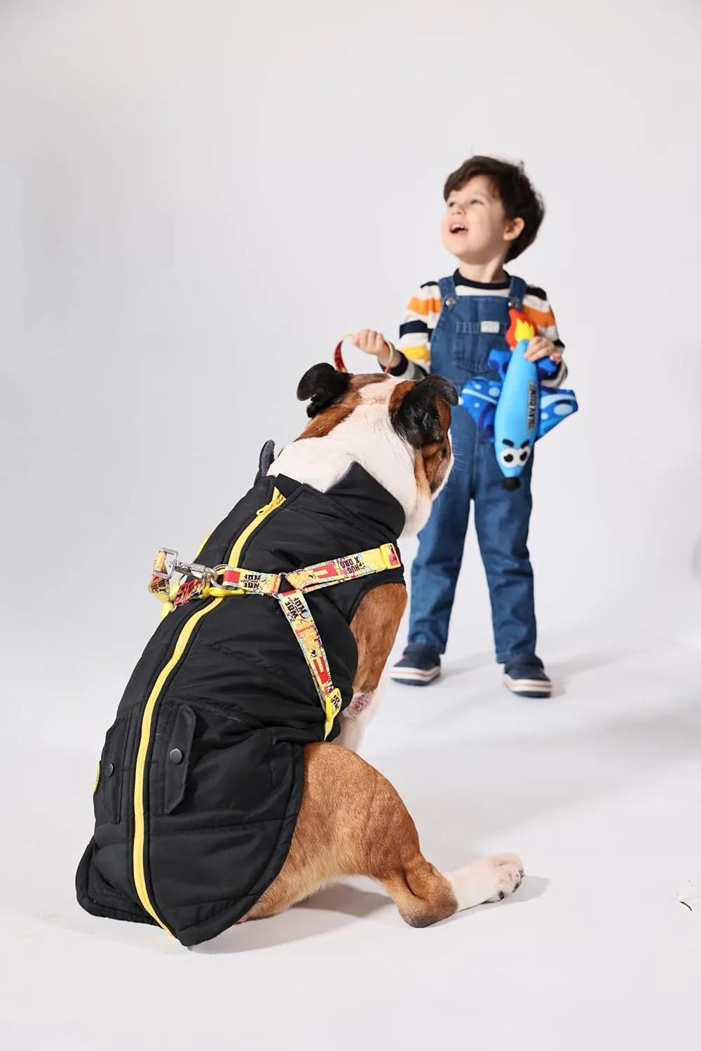 Pawlook Dog Raincoat with Chest Leash and Collar, Reusable Waterproof Pet Coat for Small Dogs, Medium Dogs, Large Dogs (Black, Large)
