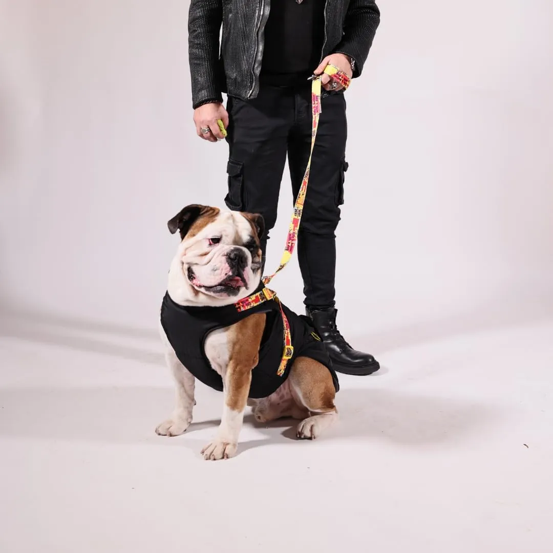 Pawlook Dog Raincoat with Chest Leash and Collar, Reusable Waterproof Pet Coat for Small Dogs, Medium Dogs, Large Dogs (Black, Large)