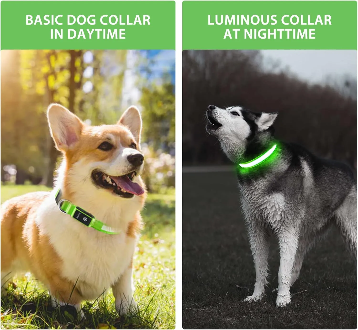 Pceotllar Light Up Collar - Rechargeable Led Dog Collar with Automatic 7-Color Changes, Water Resistant, Bright Glow for Night Walking (Green, M)