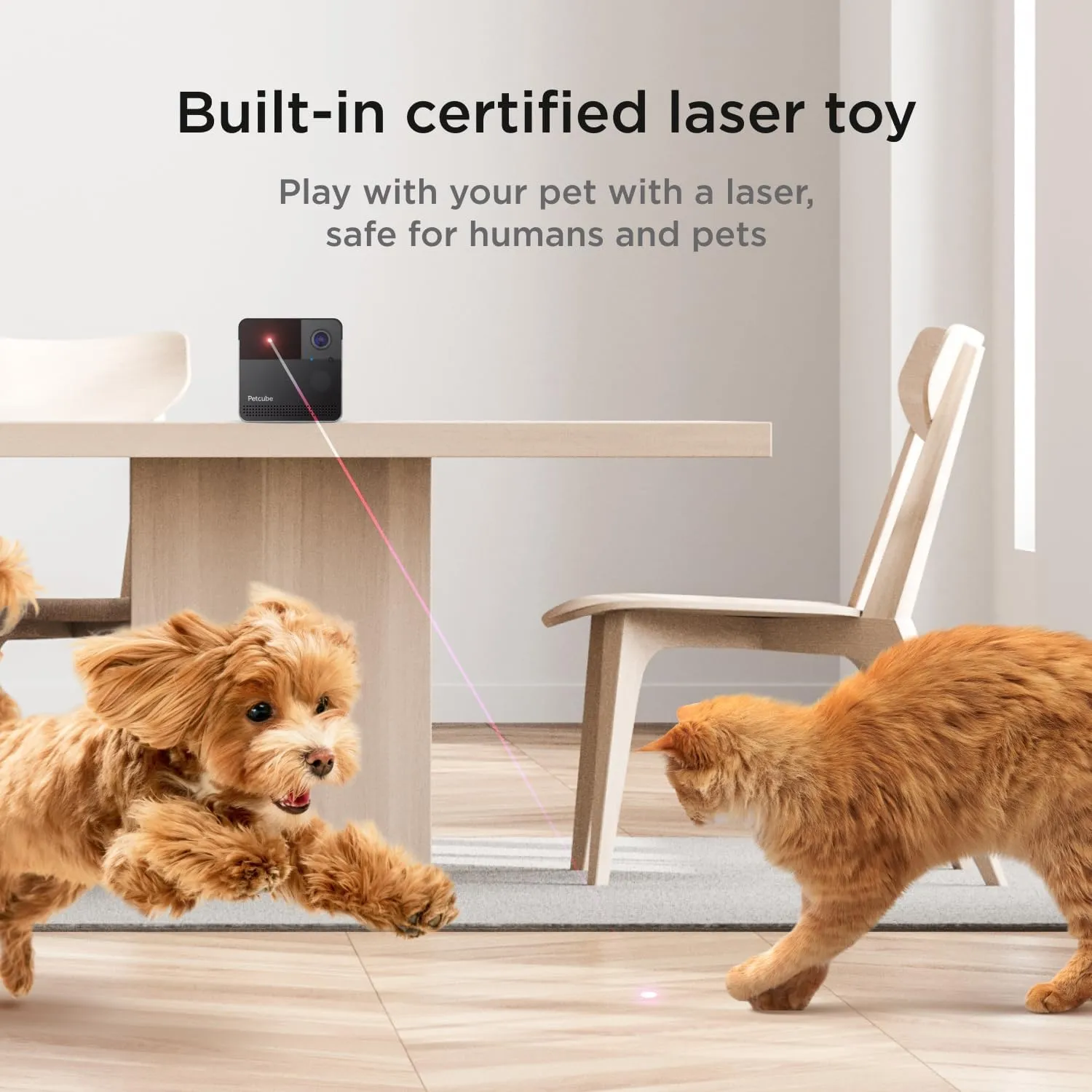 Petcube Play 2 Wi-Fi Pet Camera with Laser Toy for Cats & Dogs, 1080P HD Video, 160 Full-Room View, 2-Way Audio, Sound/Motion Alerts, Night Vision, Pet Monitoring App