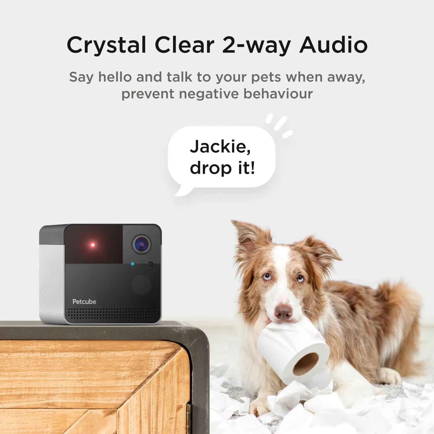 Petcube Play 2 Wi-Fi Pet Camera with Laser Toy for Cats & Dogs, 1080P HD Video, 160 Full-Room View, 2-Way Audio, Sound/Motion Alerts, Night Vision, Pet Monitoring App