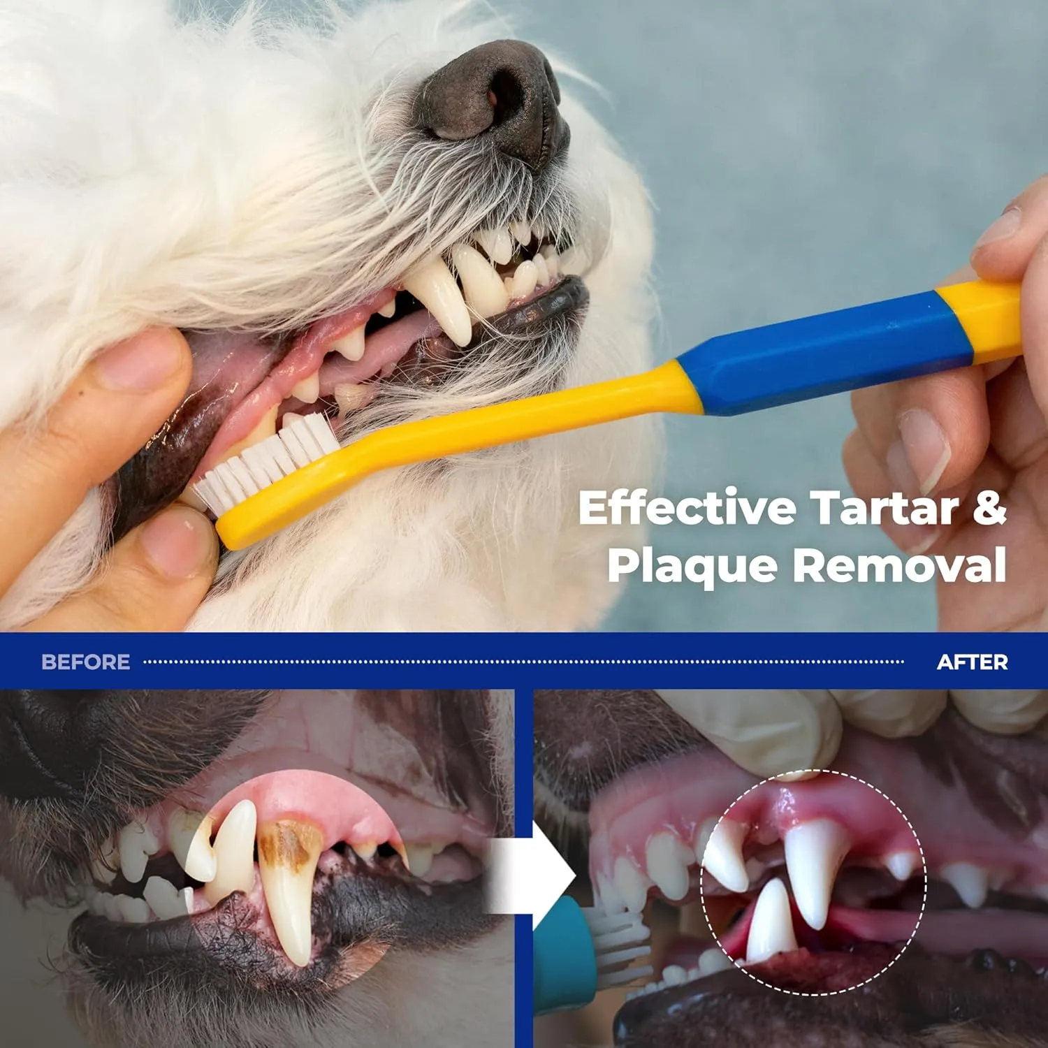 PETHROOM] Dental Micro Fiber Toothbrush for Pet | Small Dogs and Cats Teeth Brushing Cleaning Tooth Care | Soft Bristle Cleaning Toothbrush for Dog Puppy Cat (Medium)