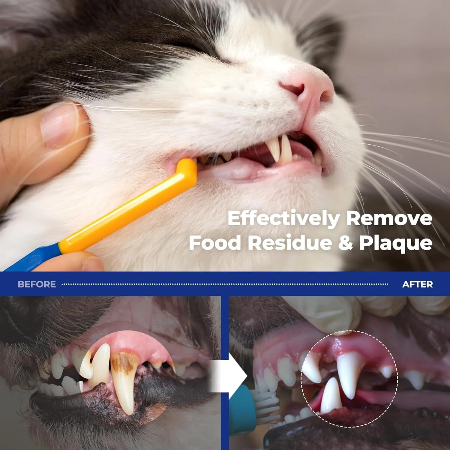 PETHROOM] Micro Tiny Pet Toothbrush for Small Cats and Dogs | Round Shaped Head with Ultra Soft Bristle for Deep Cleaning Dental Care (Deep Point)