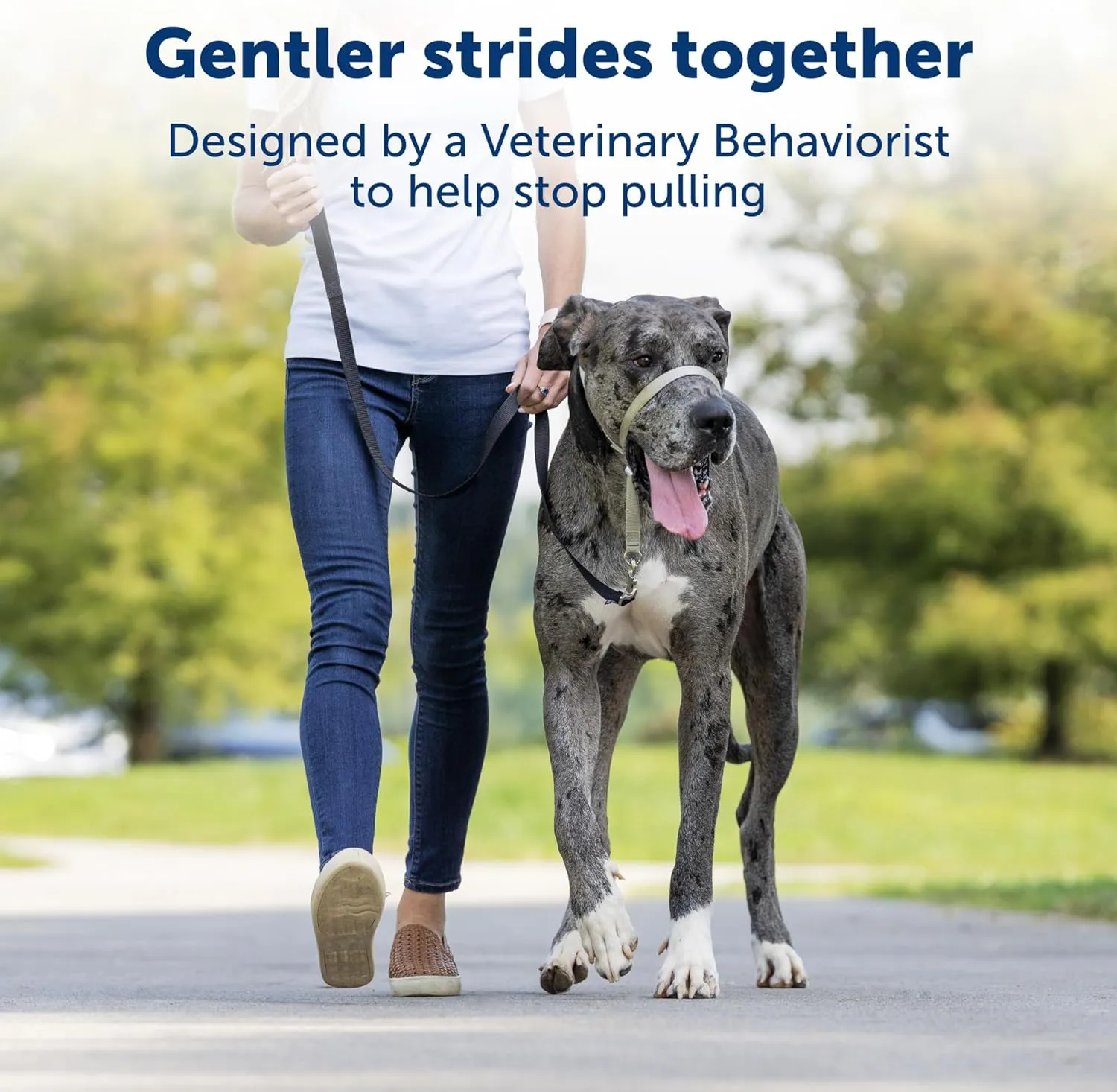 PetSafe Gentle Leader No-Pull Head Collar for Dogs, Dog Head Collar - The Ultimate Solution to Pulling, Padded Nose Loop, Quick-Snap Neck Strap, Dog Halter, Medium - Raspberry Pink