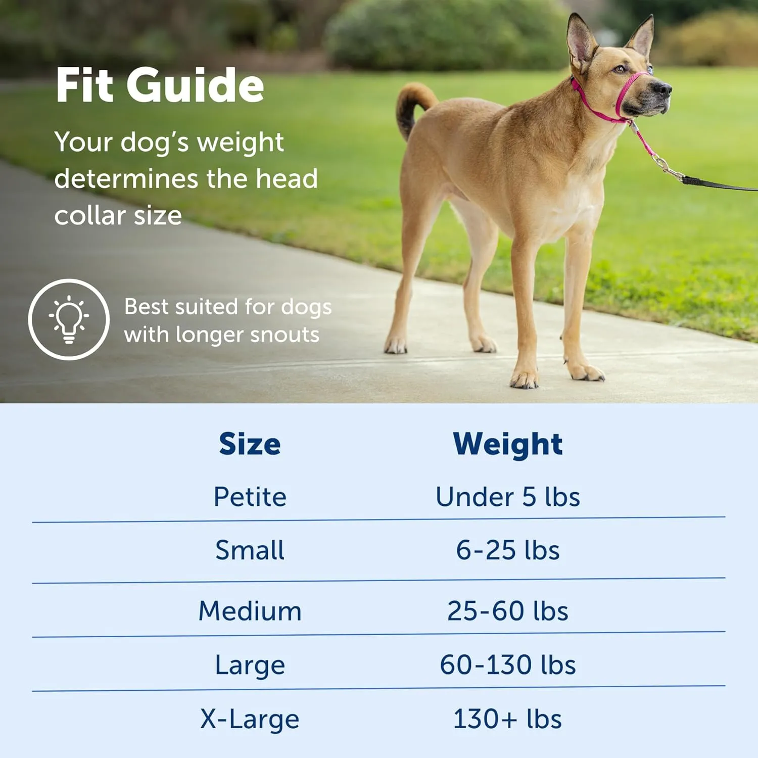 PetSafe Gentle Leader No-Pull Head Collar for Dogs, Dog Head Collar - The Ultimate Solution to Pulling, Padded Nose Loop, Quick-Snap Neck Strap, Dog Halter, Medium - Raspberry Pink