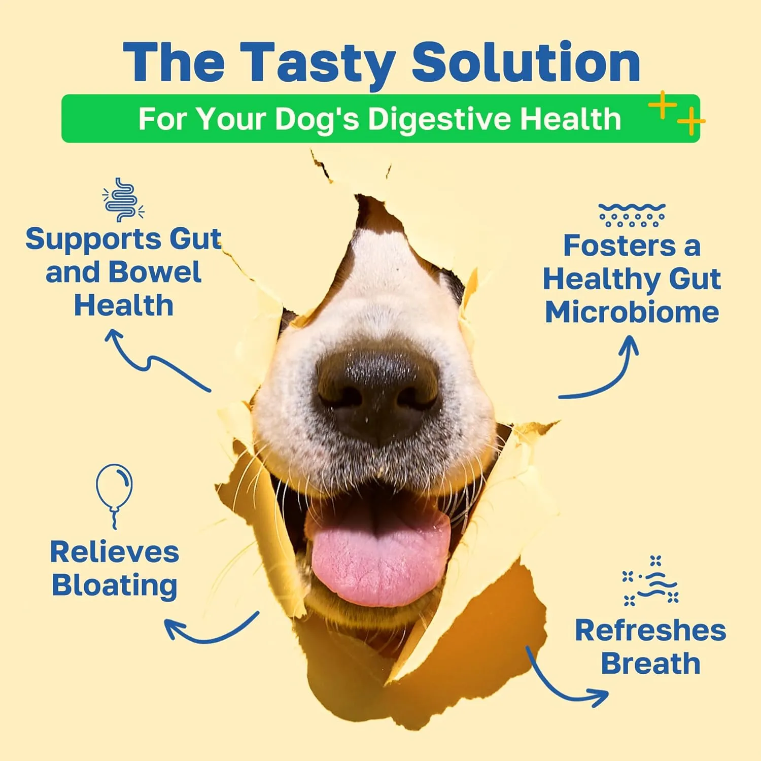 Probiotic Gut Health Support for Dogs, Soft Chews with Probiotics, Pumpkin Seed, Sweet Potato, Fennel, Coconut Oil & Coral Calcium, Organic, Non GMO, Vegan, Chicken Flavor, 100 Count