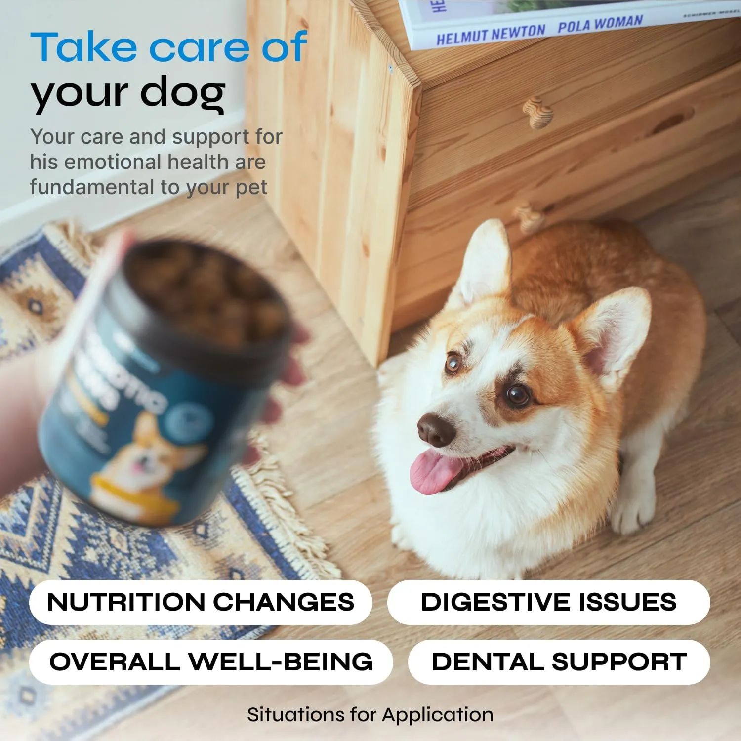 Probiotics for Dogs - Dog Probiotic Chews for Digestive and Gut Health, Dental, Immune System Support - Chewable Prebiotic Soft Treats - Wild Yam, Yeast Powder - Diarrhea and Bowel Support Supplement