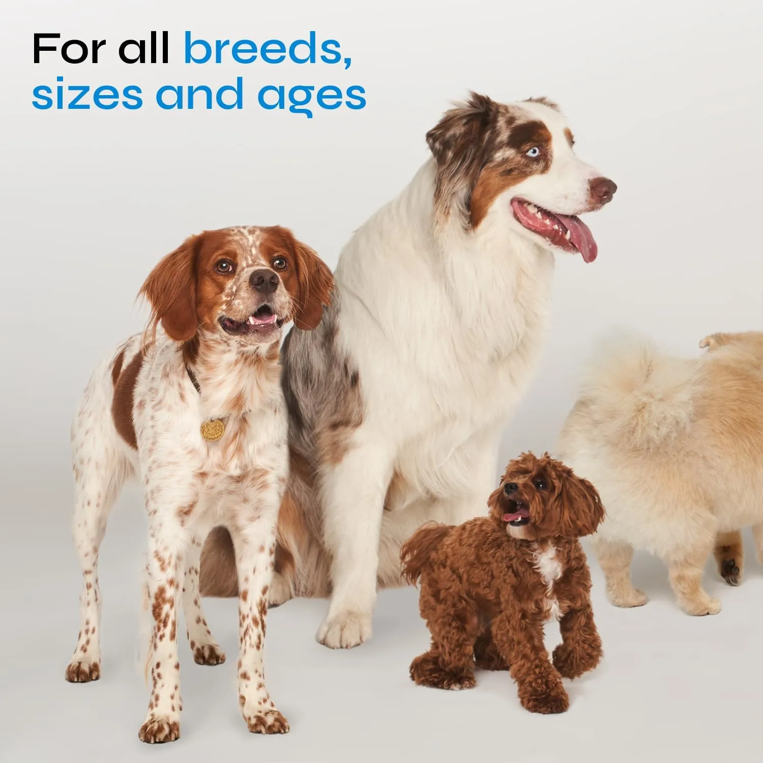 Probiotics for Dogs - Dog Probiotic Chews for Digestive and Gut Health, Dental, Immune System Support - Chewable Prebiotic Soft Treats - Wild Yam, Yeast Powder - Diarrhea and Bowel Support Supplement