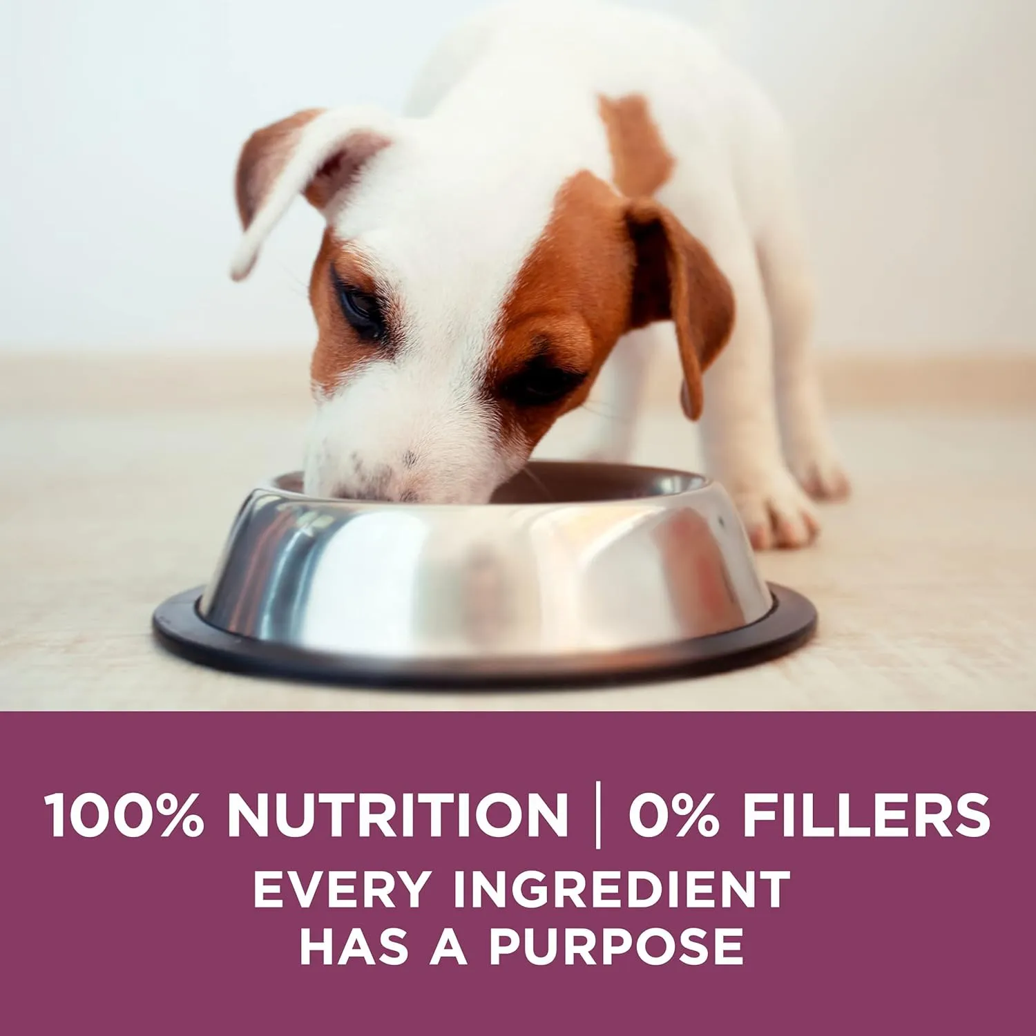 Purina ONE Plus Healthy Puppy Formula High Protein Natural Dry Puppy Food with added vitamins, minerals and nutrients - 8 lb. Bag