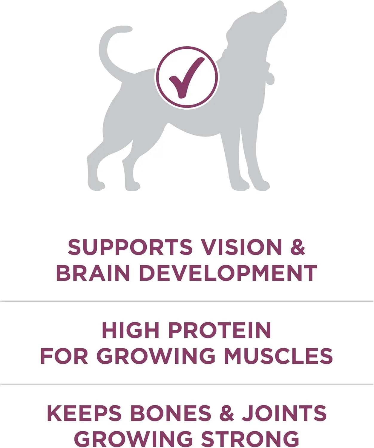 Purina ONE Plus Healthy Puppy Formula High Protein Natural Dry Puppy Food with added vitamins, minerals and nutrients - 8 lb. Bag