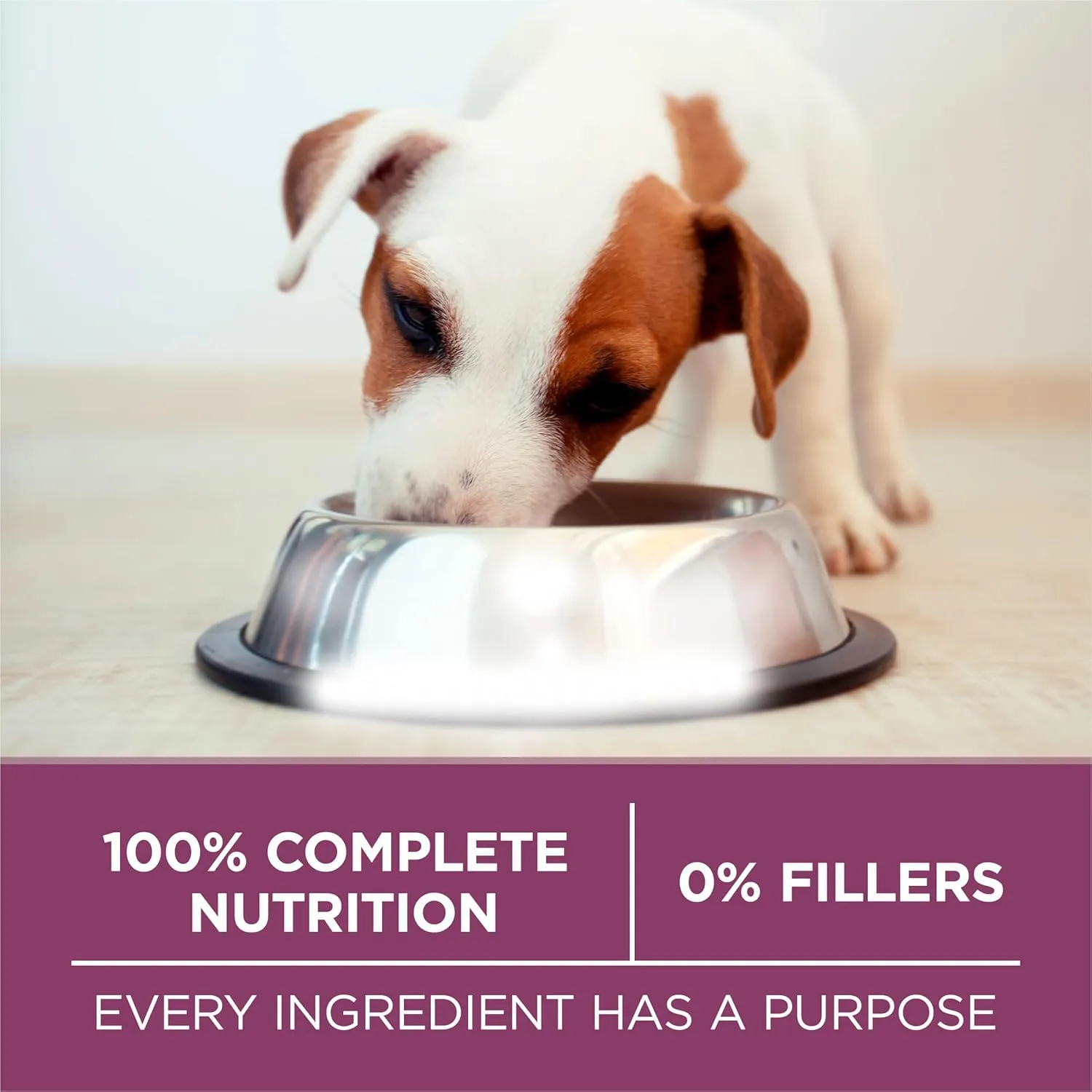 Purina ONE Plus Healthy Puppy Formula High Protein Natural Dry Puppy Food with added vitamins, minerals and nutrients - 8 lb. Bag
