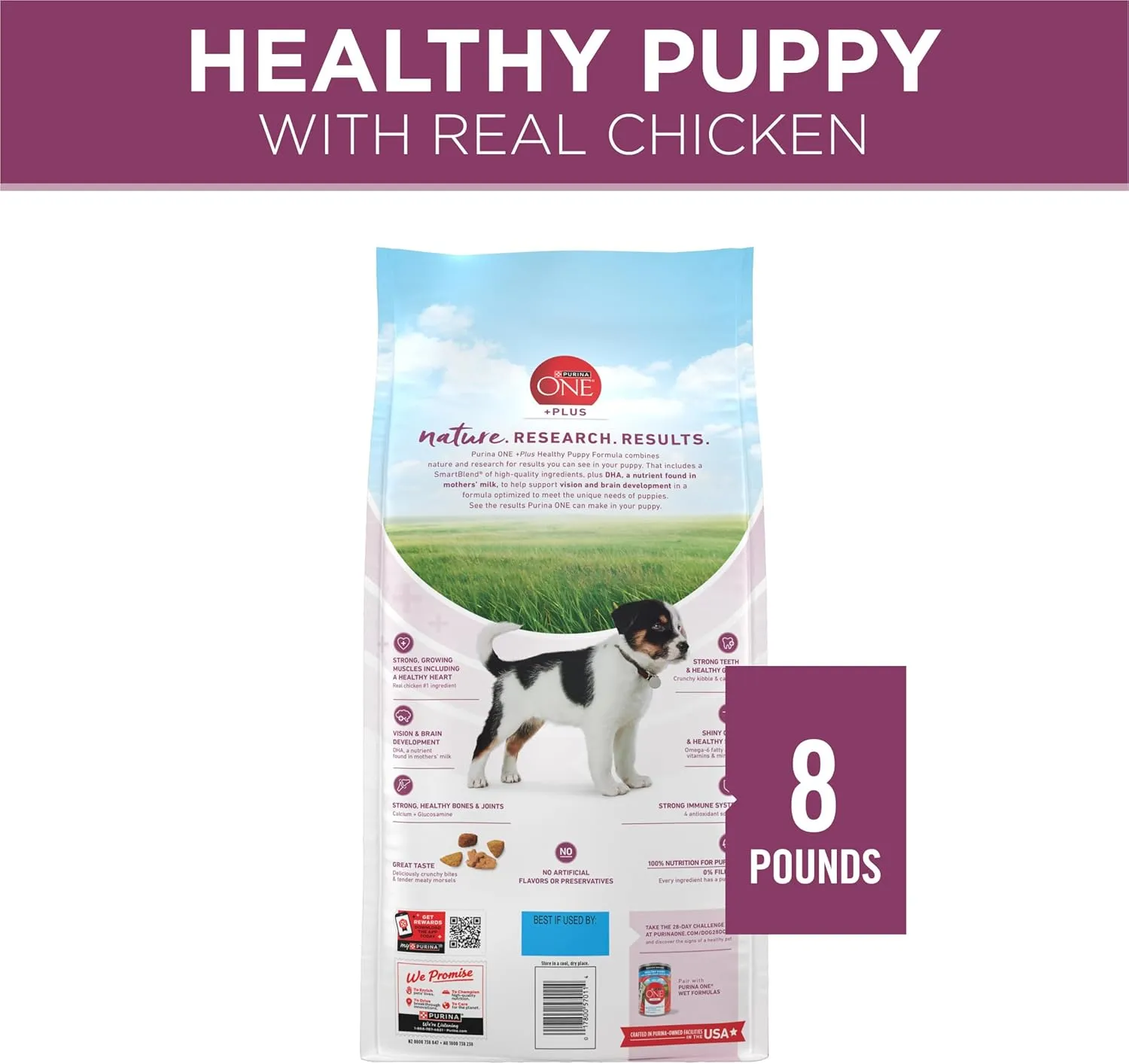 Purina ONE Plus Healthy Puppy Formula High Protein Natural Dry Puppy Food with added vitamins, minerals and nutrients - 8 lb. Bag