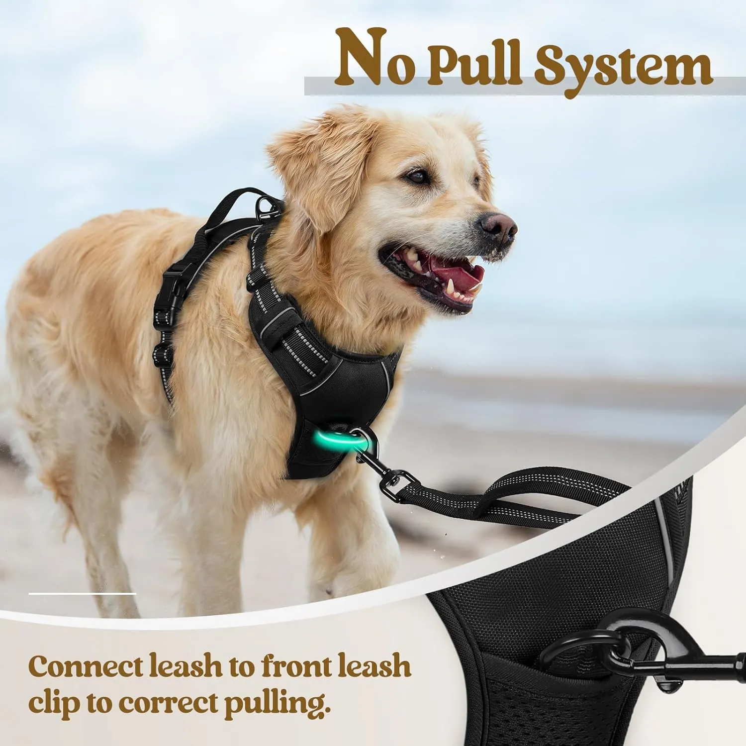 rabbitgoo Dog Harness No Pull with 2 Leash Clips, Adjustable Soft Padded, Reflective Oxford No Choke Pet Vest with Easy Control Handle for Small Dogs, Black, S
