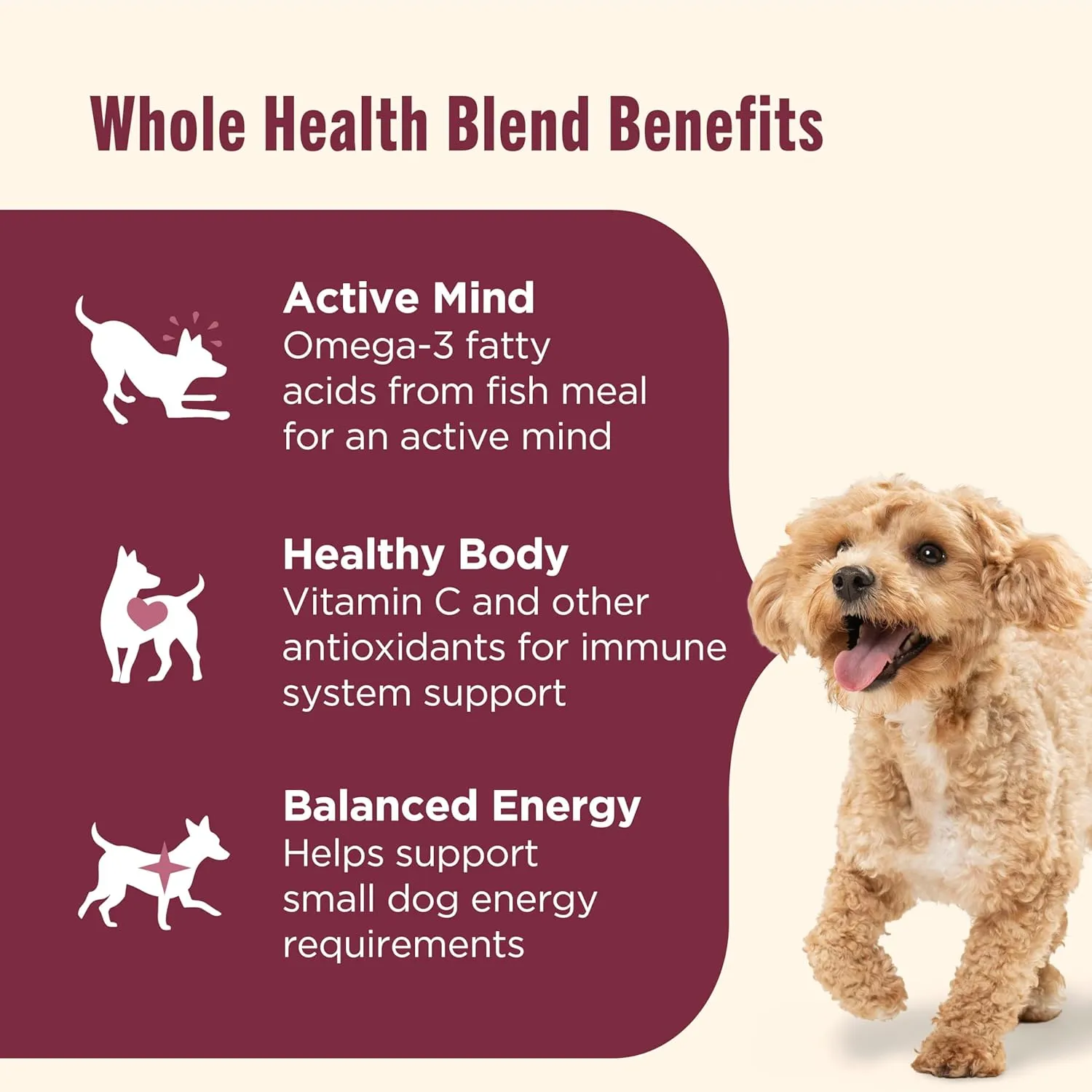 Rachael Ray Nutrish Little Bites Small Breed Premium Natural Dry Dog Food, Real Chicken & Veggies Recipe, 6 Pounds (Packaging May Vary)