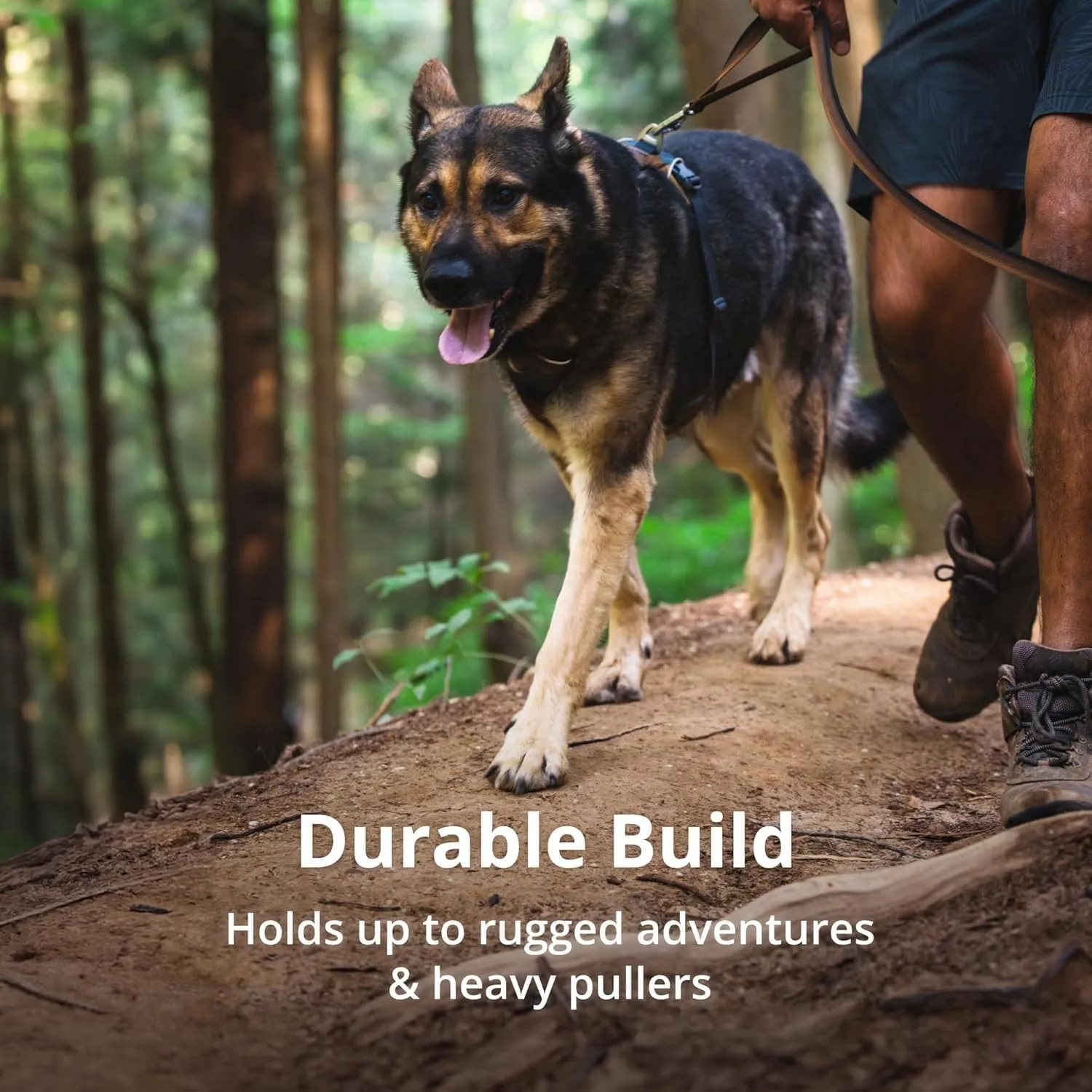 Ruffwear, Front Range Dog Harness, Reflective Soft Padded Everyday Harness with Dual Leash Clips, Adjustable and Lightweight Fit for Training or Walking for All Dogs, Moonlight Mountains, Small