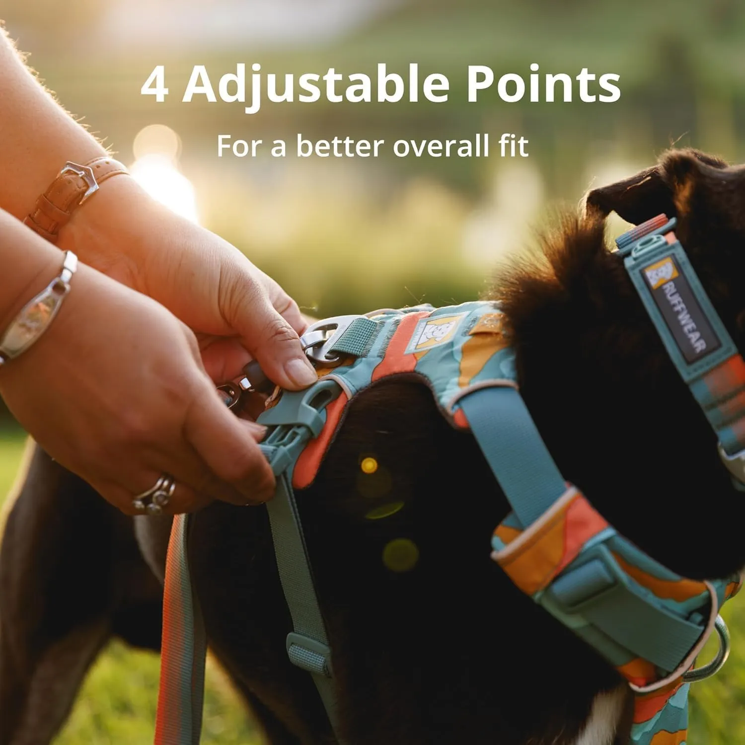 Ruffwear, Front Range Dog Harness, Reflective Soft Padded Everyday Harness with Dual Leash Clips, Adjustable and Lightweight Fit for Training or Walking for All Dogs, Moonlight Mountains, Small