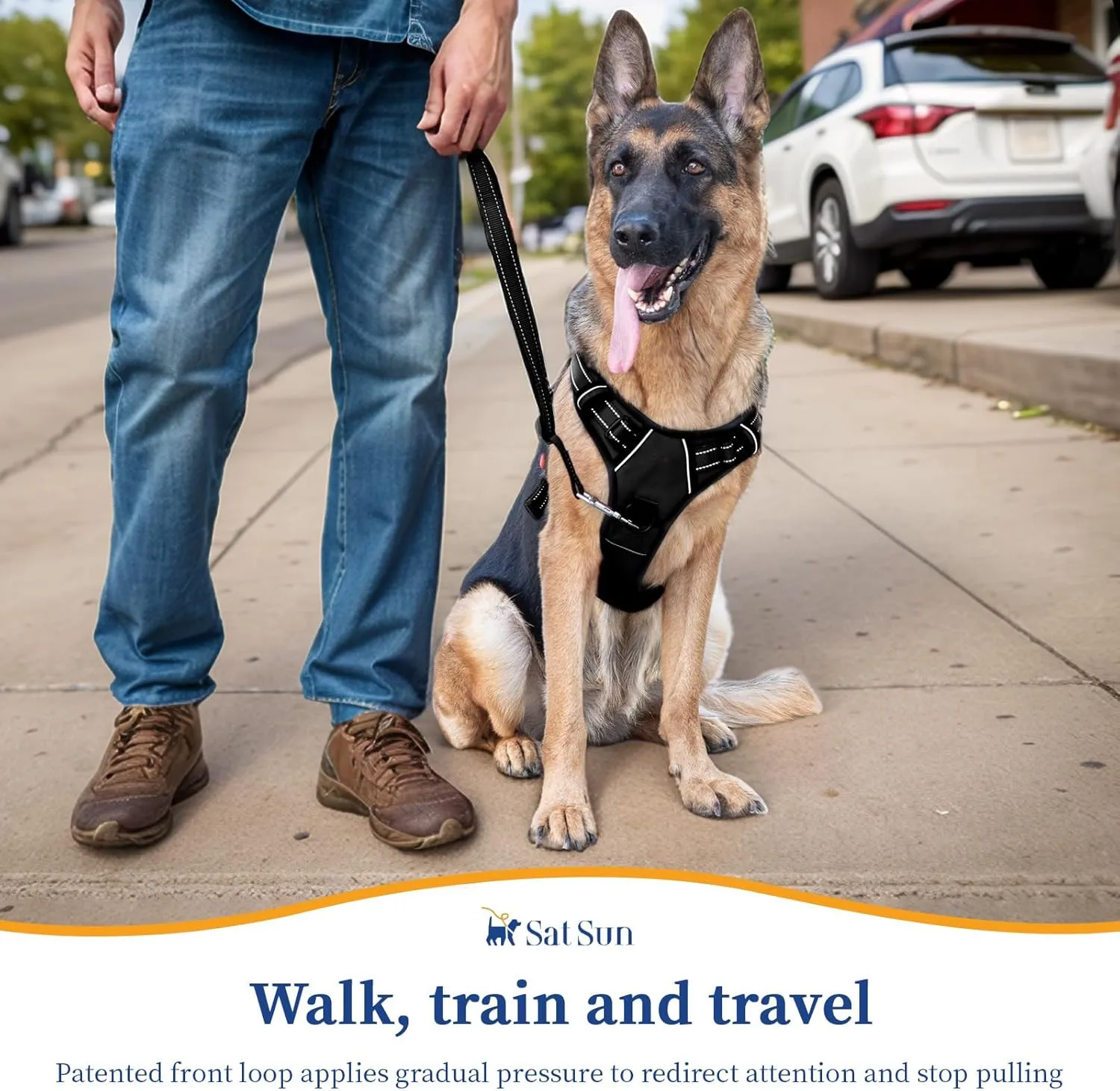 SATSUN No-Pull Dog Harness with Handle,Easy Walk Dog Vest Harness for Large Dogs with Leash Clips,Breathable Reflective Step-in Pet Harness,Ideal for Training Strolling Hiking,Purple,L
