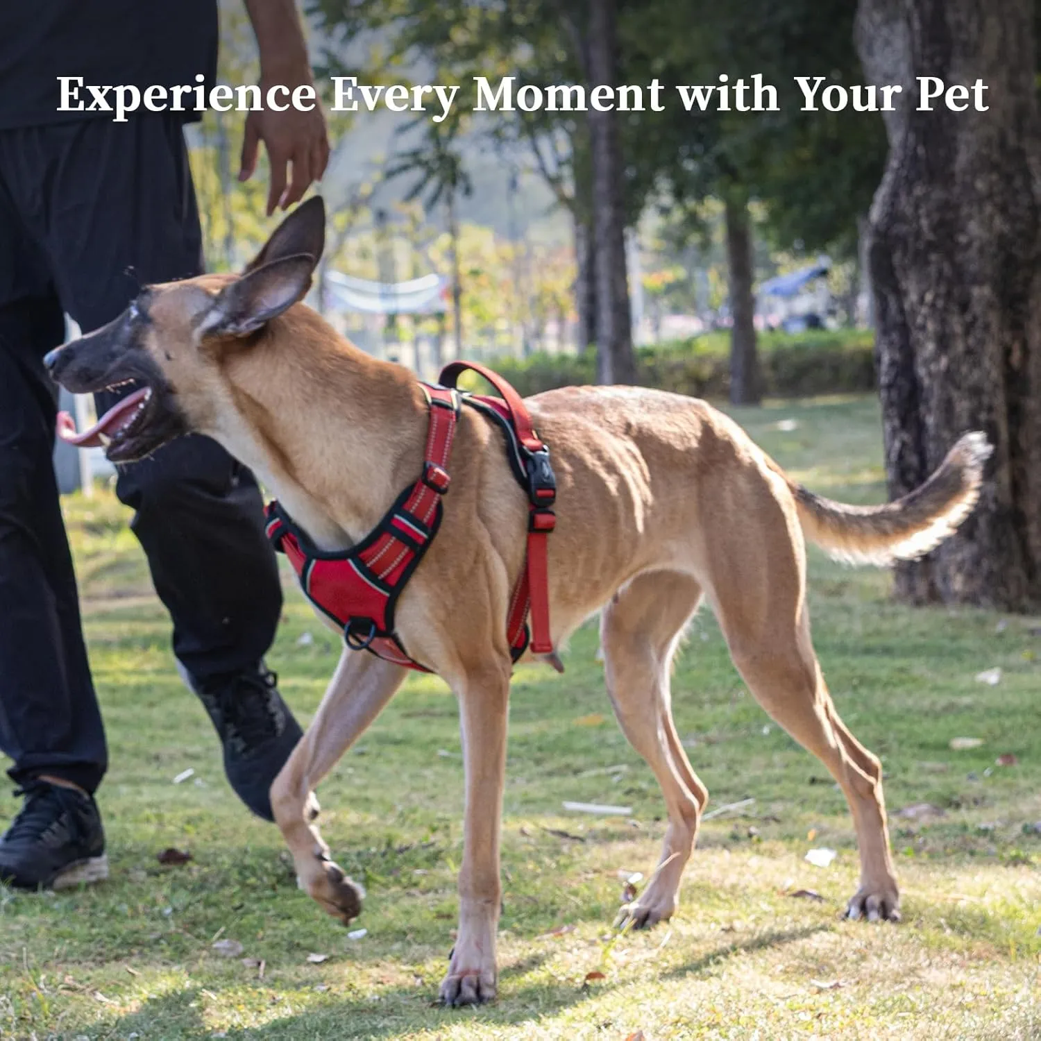 SATSUN No-Pull Dog Harness with Handle,Easy Walk Dog Vest Harness for Large Dogs with Leash Clips,Breathable Reflective Step-in Pet Harness,Ideal for Training Strolling Hiking,Purple,L