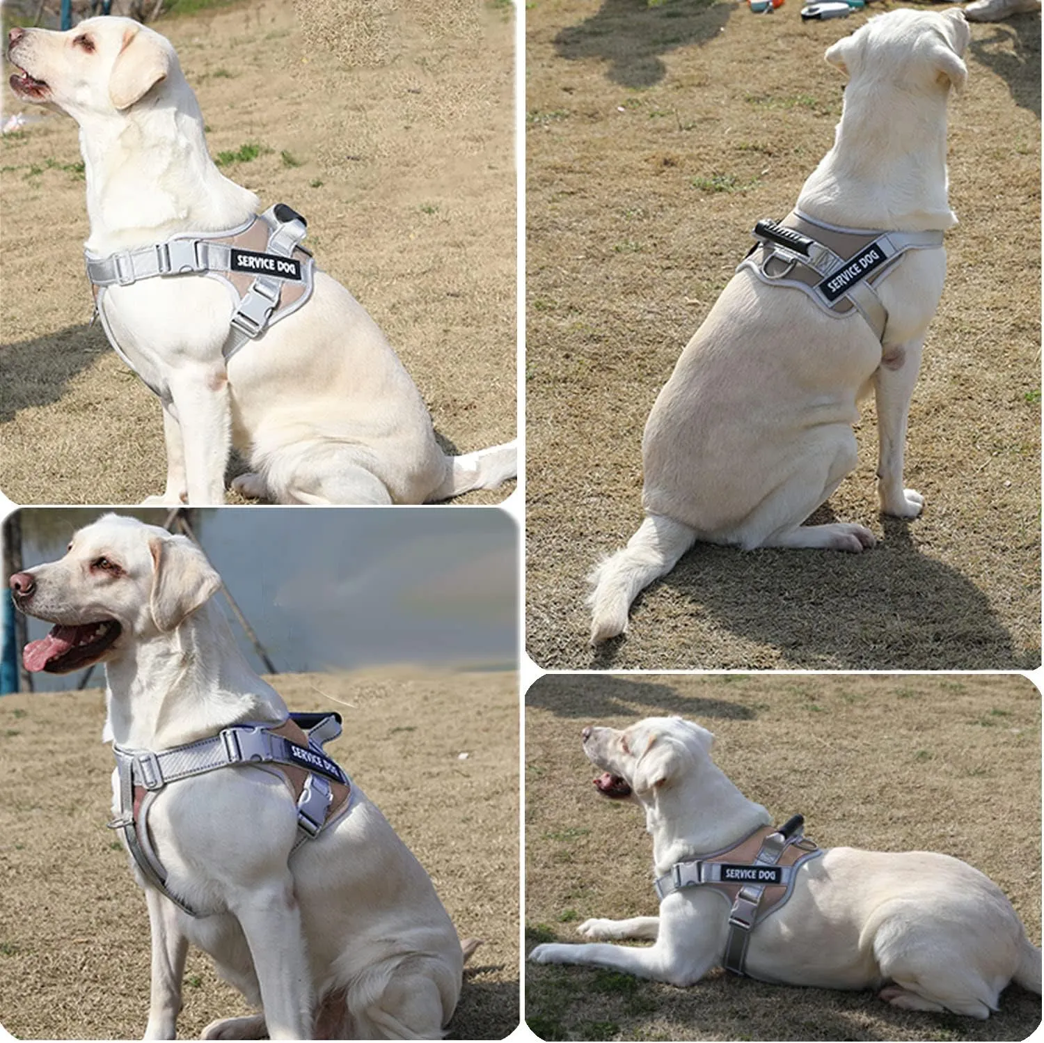 Service Dog Vest,No Pull in Training Service Dog Harness and 5FT Dog Leash Set, Adjustable 3M Reflective Nylon Pet Dog Vest with Handle,Easy Control for Small Medium Large Dogs(M,Khaki)