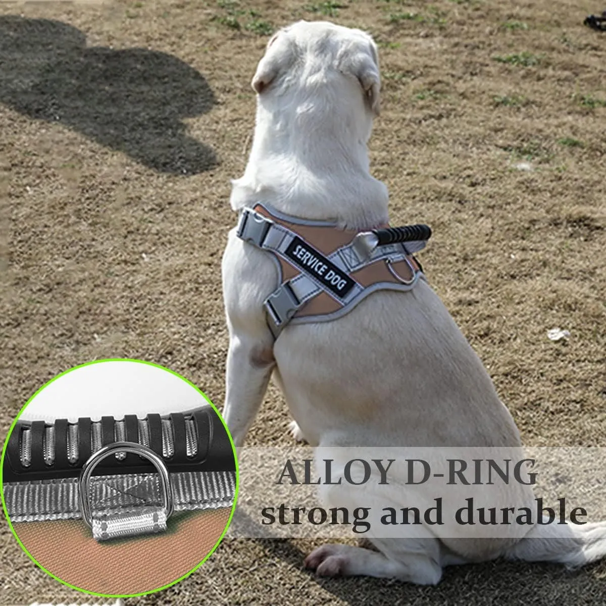 Service Dog Vest,No Pull in Training Service Dog Harness and 5FT Dog Leash Set, Adjustable 3M Reflective Nylon Pet Dog Vest with Handle,Easy Control for Small Medium Large Dogs(M,Khaki)