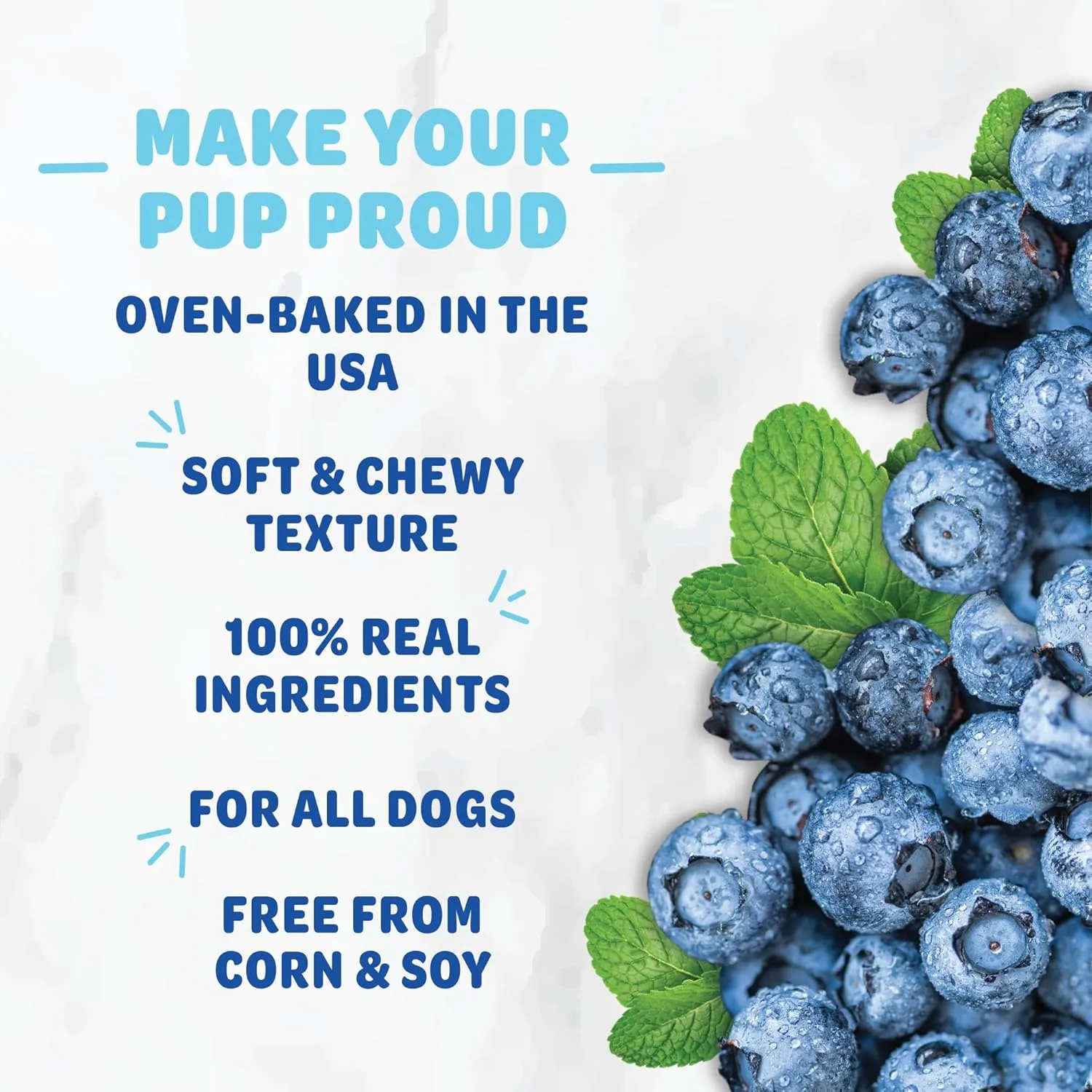 Shameless Pets Soft-Baked Dog Treats, Vegetarian Variety 5-Pack - Natural & Healthy Dog Chews for Small, Medium & Large Dogs - Dog Biscuits Baked & Made in USA, Free from Grain, Corn & Soy
