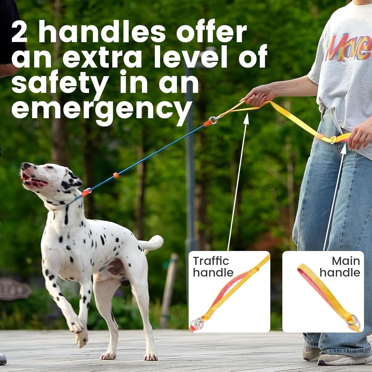 Slip Lead Dog Leash with Double Handles | Reflective Dog Training Leash with 360 Swivel Anti-Tangle | Heavy-Duty Leash and Collar for Large Medium and Small Dogs No-Pull Walking (Black, 5.5FT)
