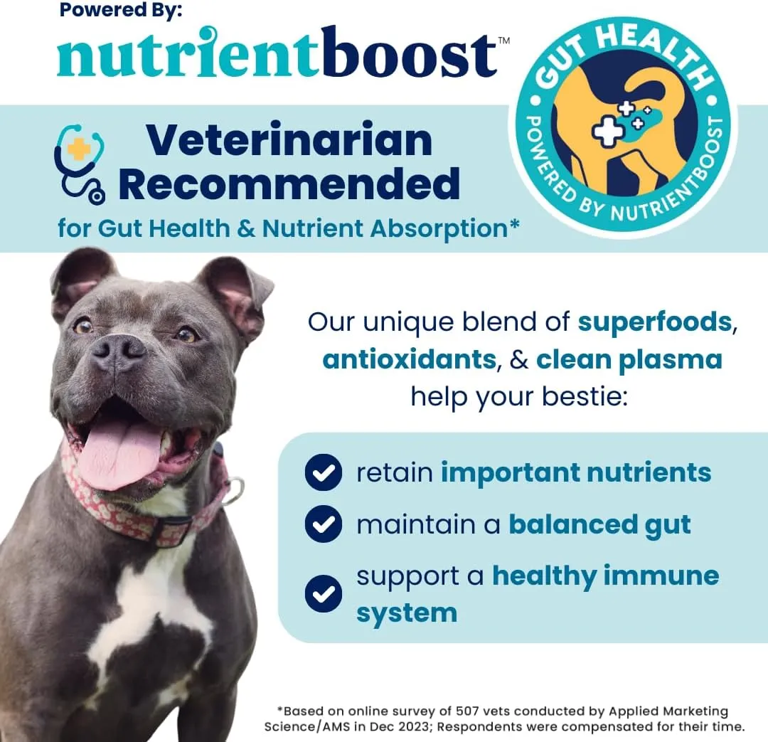 Solid Gold Healthy Dog Treats - Functional Dog Treats for Training   Skin & Coat Health - Peanut Butter Flavor with Salmon Oil Healthy Training Treats for Dogs - 5.2 oz