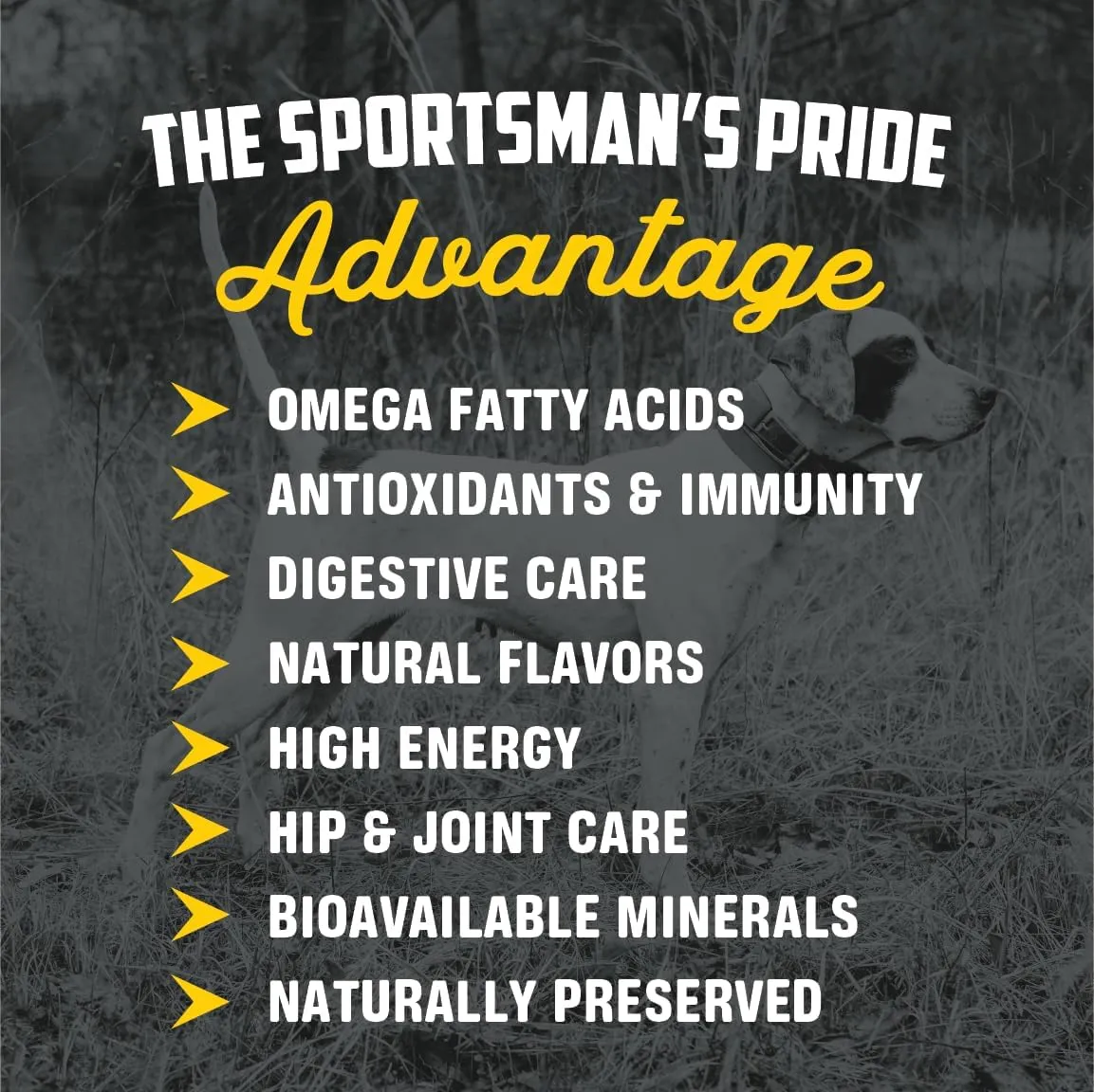 Sportsman's Pride Classic 24/20 High Energy Dry Dog Food, 40-lb Bag