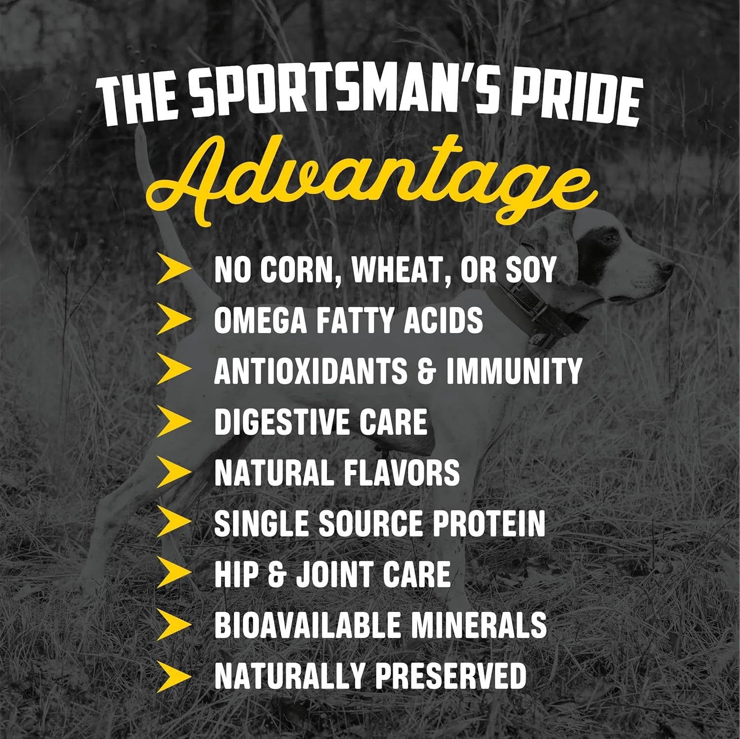 Sportsman's Pride Field Master 26/18 Limited Ingredient Dry Dog Food, 40-lb Bag