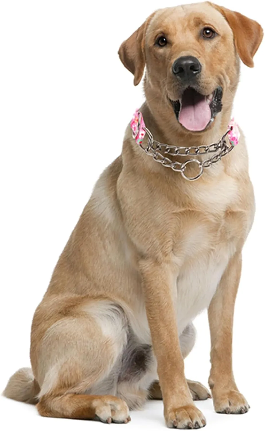 Stainless Steel Chain Martingale Dog Collar, No Pull Slip Cinch Choker Choke Collar Training Escape Proof Heavy Duty Dog Collar for Small Medium Large Pet Girl Female Dogs, Pink Floral L