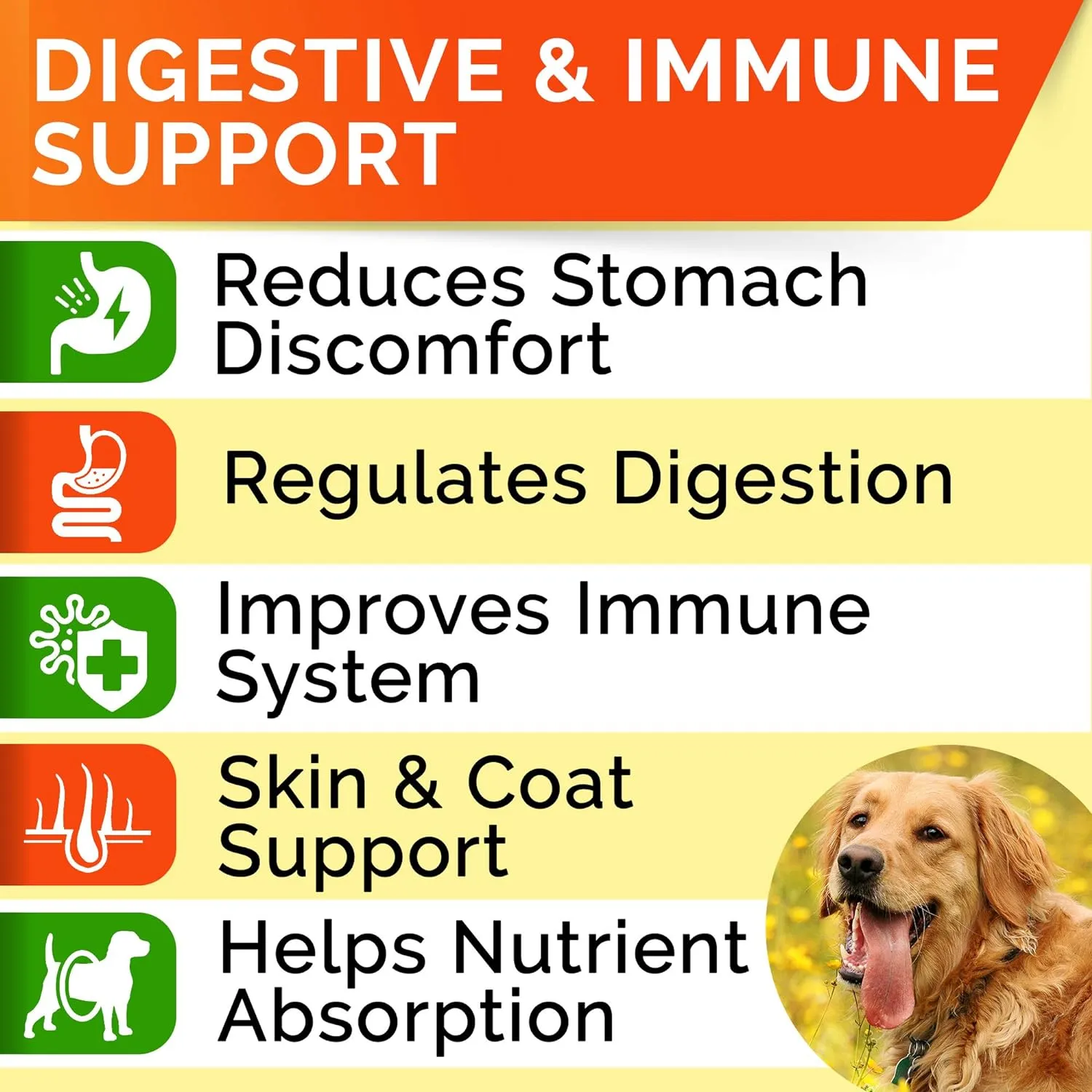 STRELLALAB Dog Probiotics Treats for Picky Eaters - Digestive Enzymes   Prebiotics - Chewable Supplement - Allergy, Diarrhea, Gas, Constipation, Upset Stomach Relief - Improve Digestion, Immunity
