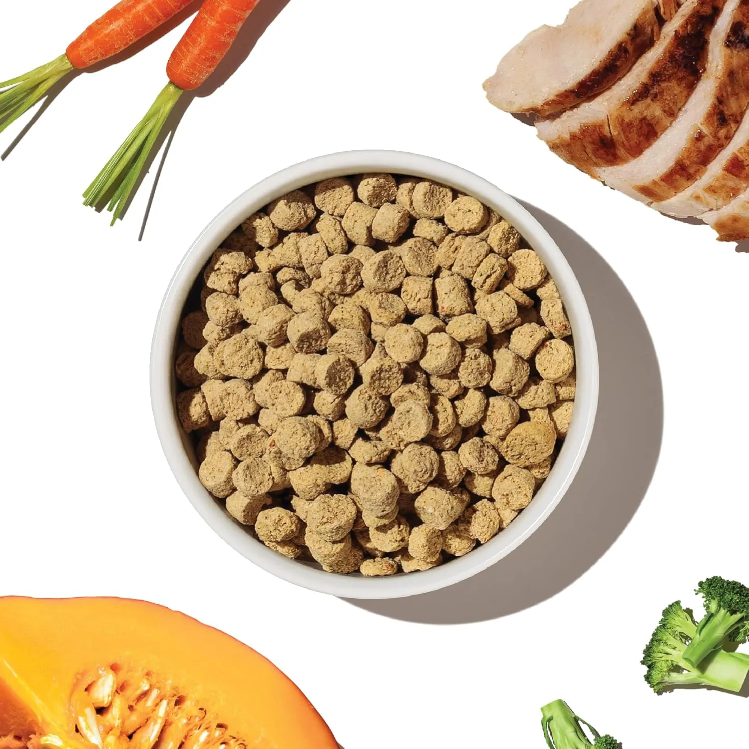 The Honest Kitchen Whole Food Clusters Small Breed Blend Grain Free Dry Dog Food - Chicken, 10 Pound Bag
