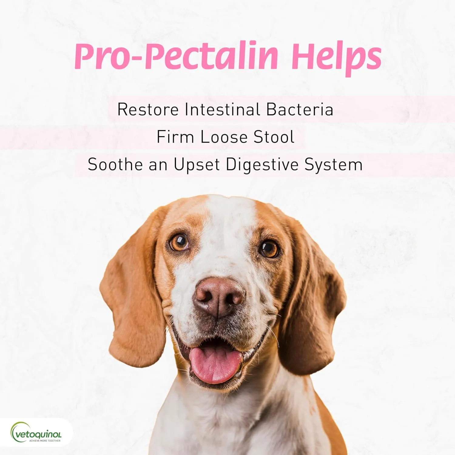 Vetoquinol Pro-Pectalin Chewable Tablets for Dogs & Cats, Helps Relieve Occasional Diarrhea, Situational Diarrhea Relief with Kaolin and Pectin, Contains Beneficial Probiotic Bacteria, 60ct
