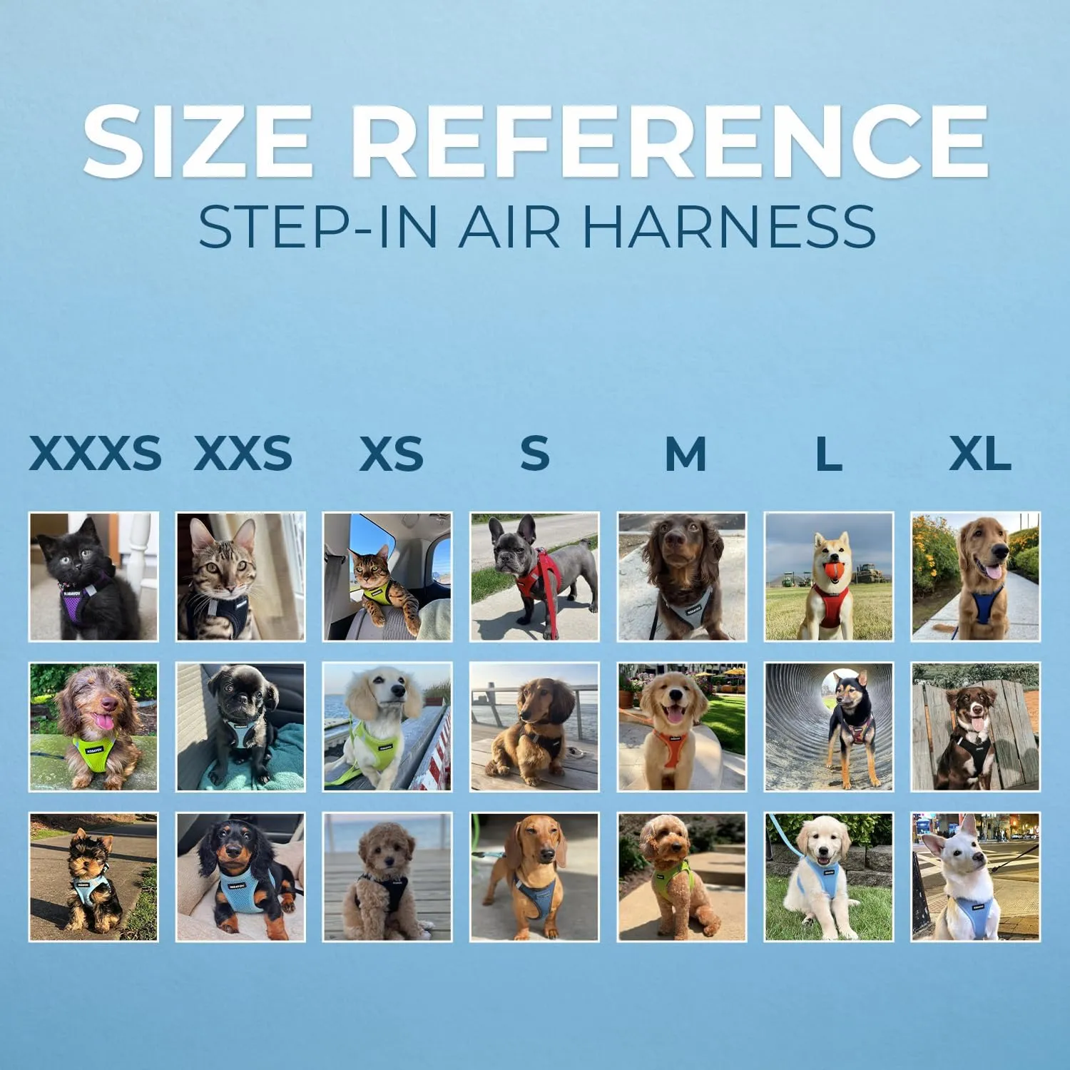Voyager Step-In Air Dog Harness - All Weather Mesh, Reflective, No Pull Harness for Small, Medium Dogs, Cats - Secure with Hook & Loop Fastener, Buckle, Double D-Rings - Black/Black Trim, M