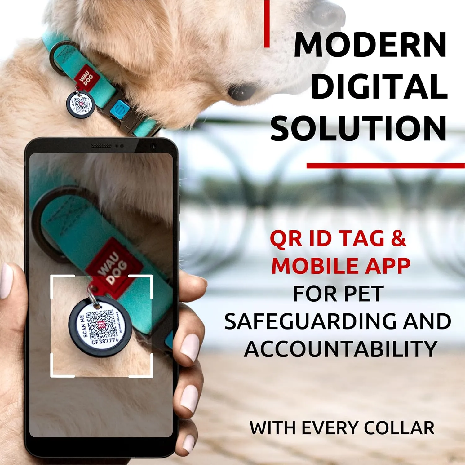 WAUDOG Waterproof Dog Collar - Adjustable Dog Collar for Large Dogs, Small and Medium Dogs - Heavy Duty Dog Collars with Durable Metal Clasp and QR Dog Tag - Boy & Girl Dog Collars