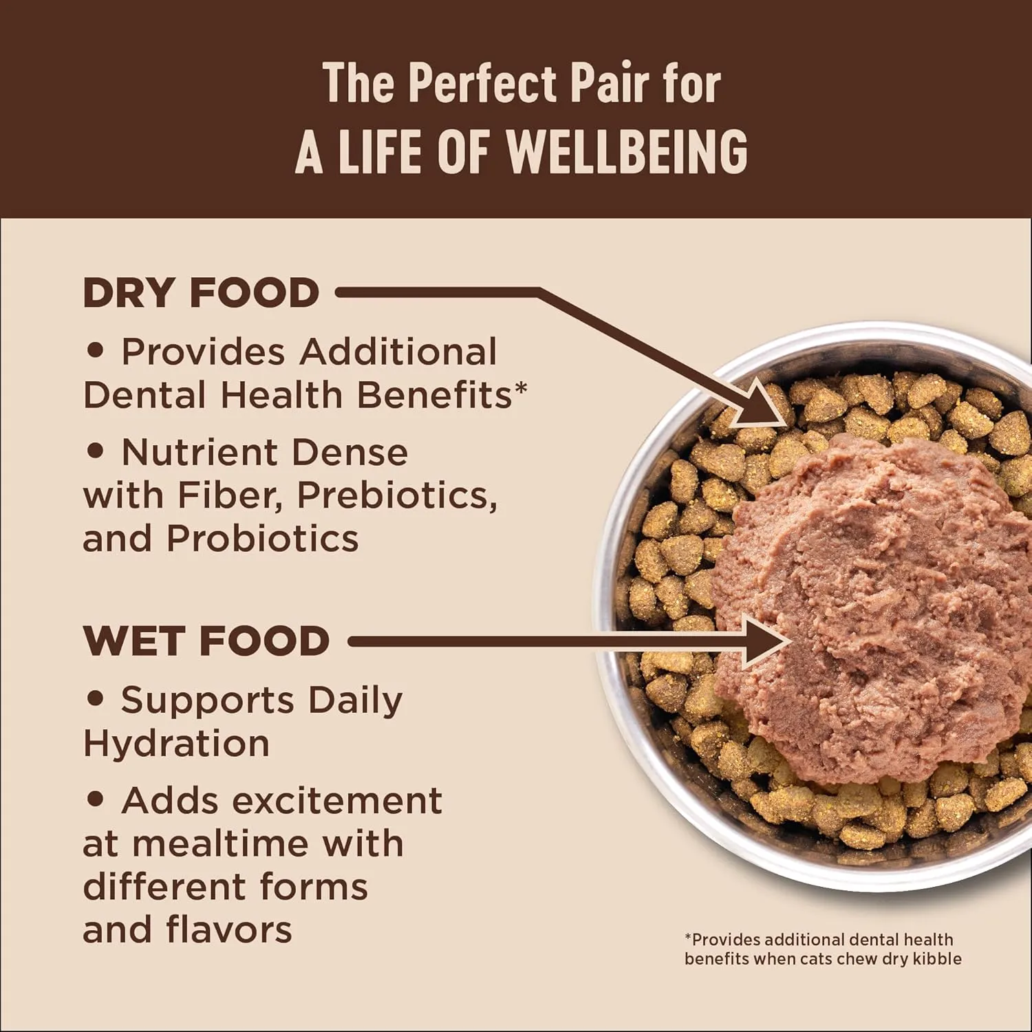 Wellness CORE  Digestive Health Pate Adult Wet Cat Food, Natural, Protein-Rich, Grain Free, 3 Ounce, 12 Pack (Turkey)