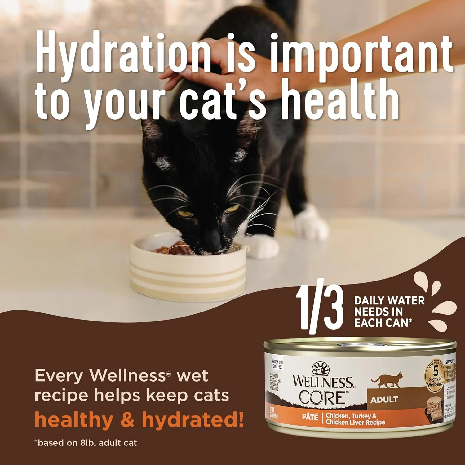 Wellness CORE  Digestive Health Pate Adult Wet Cat Food, Natural, Protein-Rich, Grain Free, 3 Ounce, 12 Pack (Turkey)